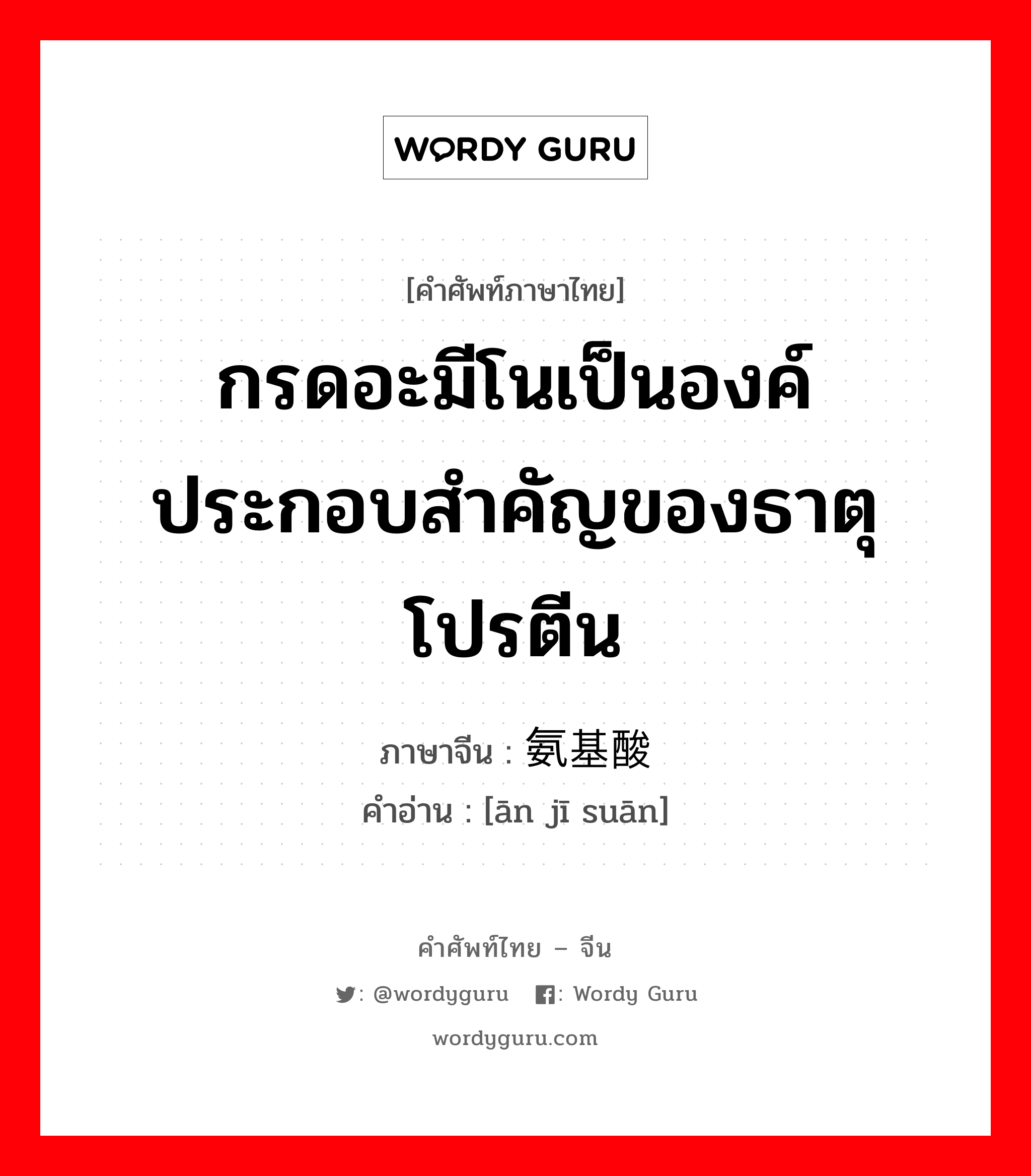 กรดอะมีโนเป็นองค์ประกอบสำคัญของธาตุโปรตีน ภาษาจีนคืออะไร, คำศัพท์ภาษาไทย - จีน กรดอะมีโนเป็นองค์ประกอบสำคัญของธาตุโปรตีน ภาษาจีน 氨基酸 คำอ่าน [ān jī suān]