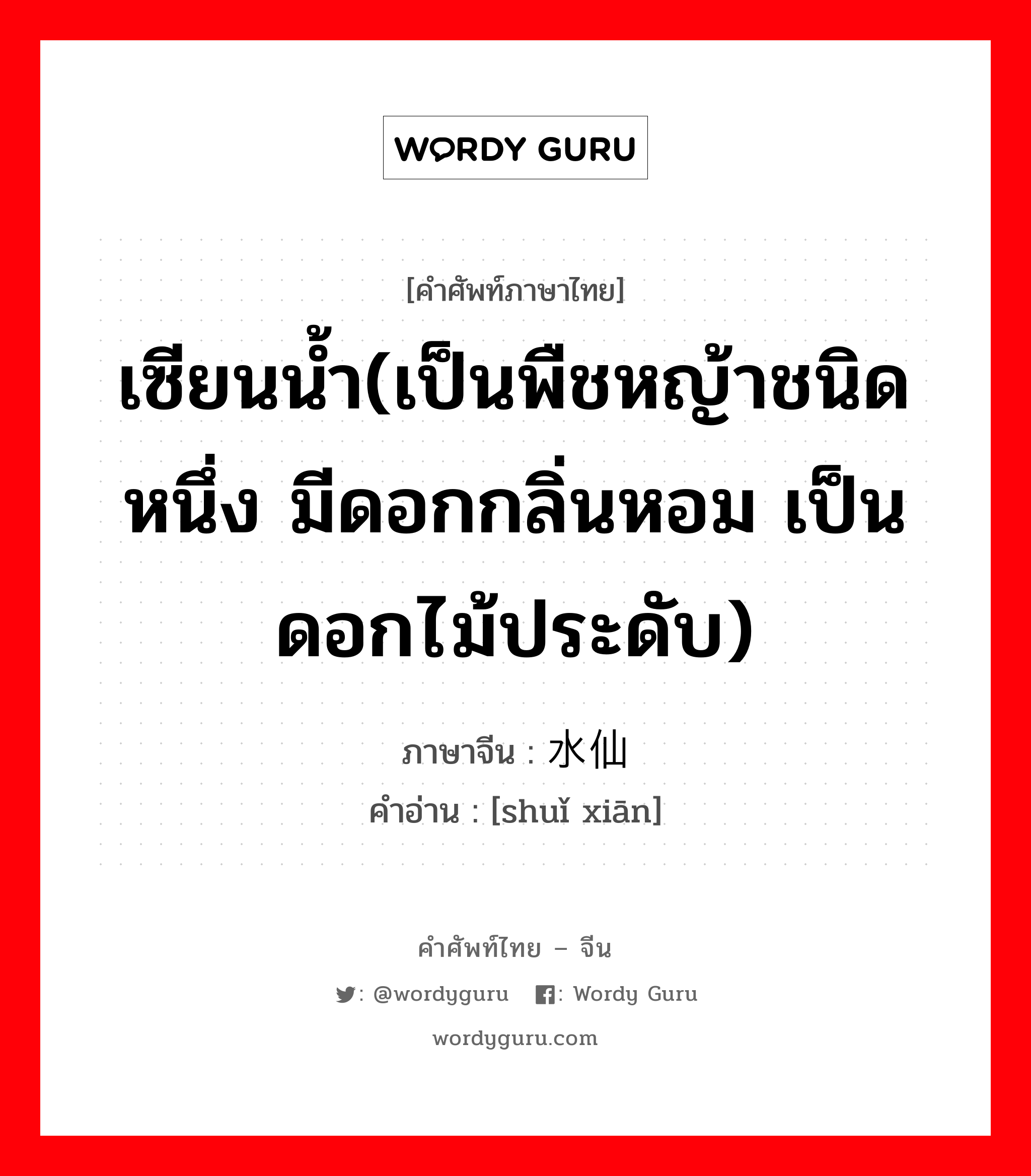 เซียนน้ำ(เป็นพืชหญ้าชนิดหนึ่ง มีดอกกลิ่นหอม เป็นดอกไม้ประดับ) ภาษาจีนคืออะไร, คำศัพท์ภาษาไทย - จีน เซียนน้ำ(เป็นพืชหญ้าชนิดหนึ่ง มีดอกกลิ่นหอม เป็นดอกไม้ประดับ) ภาษาจีน 水仙 คำอ่าน [shuǐ xiān]