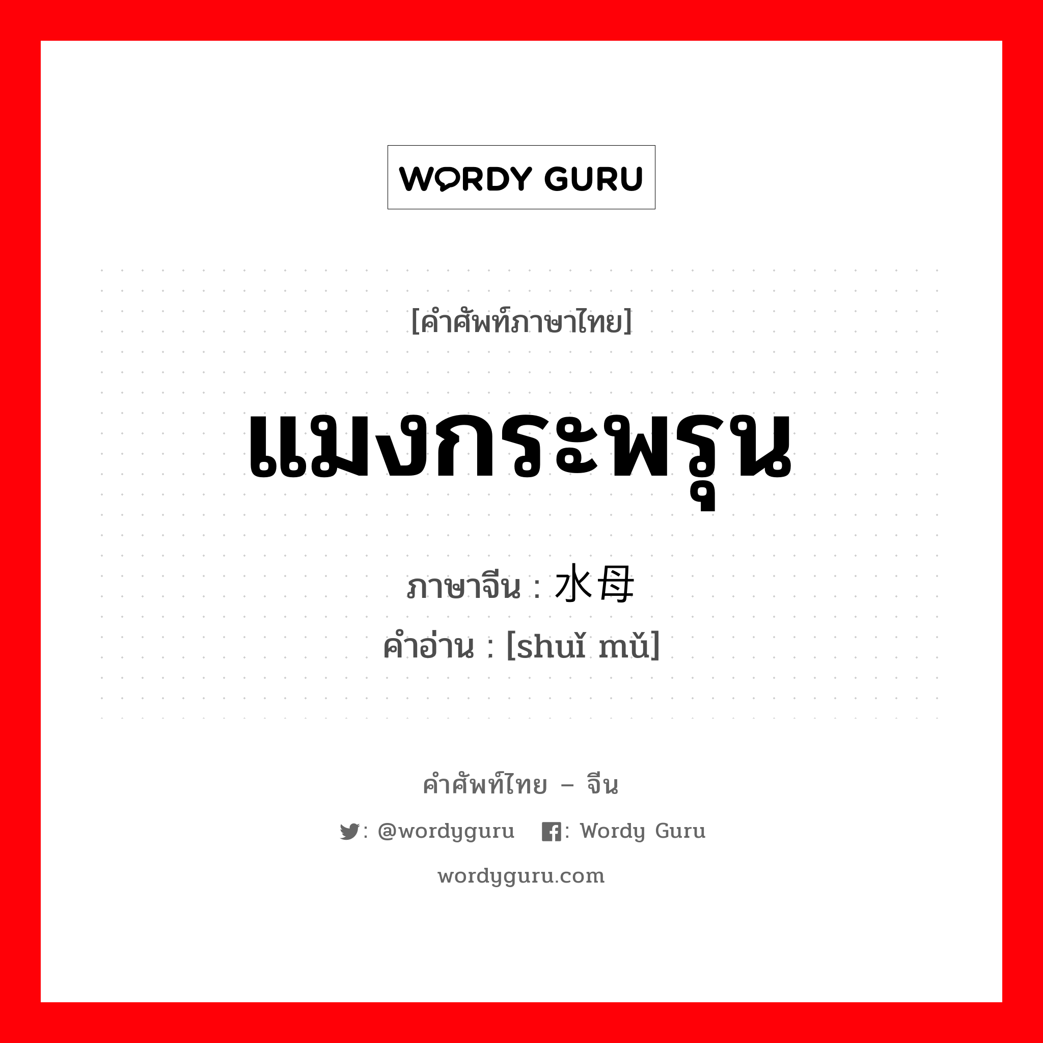 แมงกระพรุน ภาษาจีนคืออะไร, คำศัพท์ภาษาไทย - จีน แมงกระพรุน ภาษาจีน 水母 คำอ่าน [shuǐ mǔ]