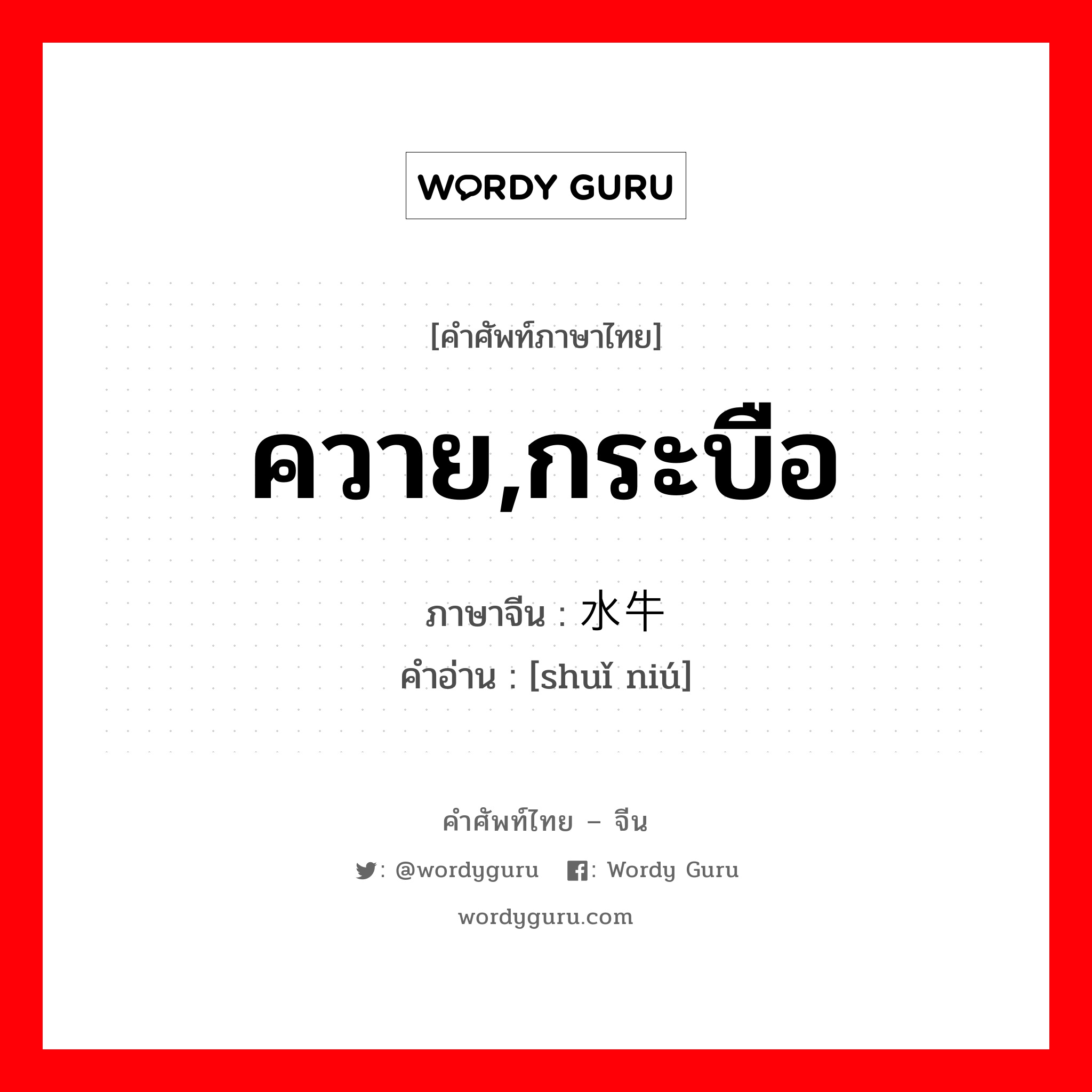 ควาย,กระบือ ภาษาจีนคืออะไร, คำศัพท์ภาษาไทย - จีน ควาย,กระบือ ภาษาจีน 水牛 คำอ่าน [shuǐ niú]