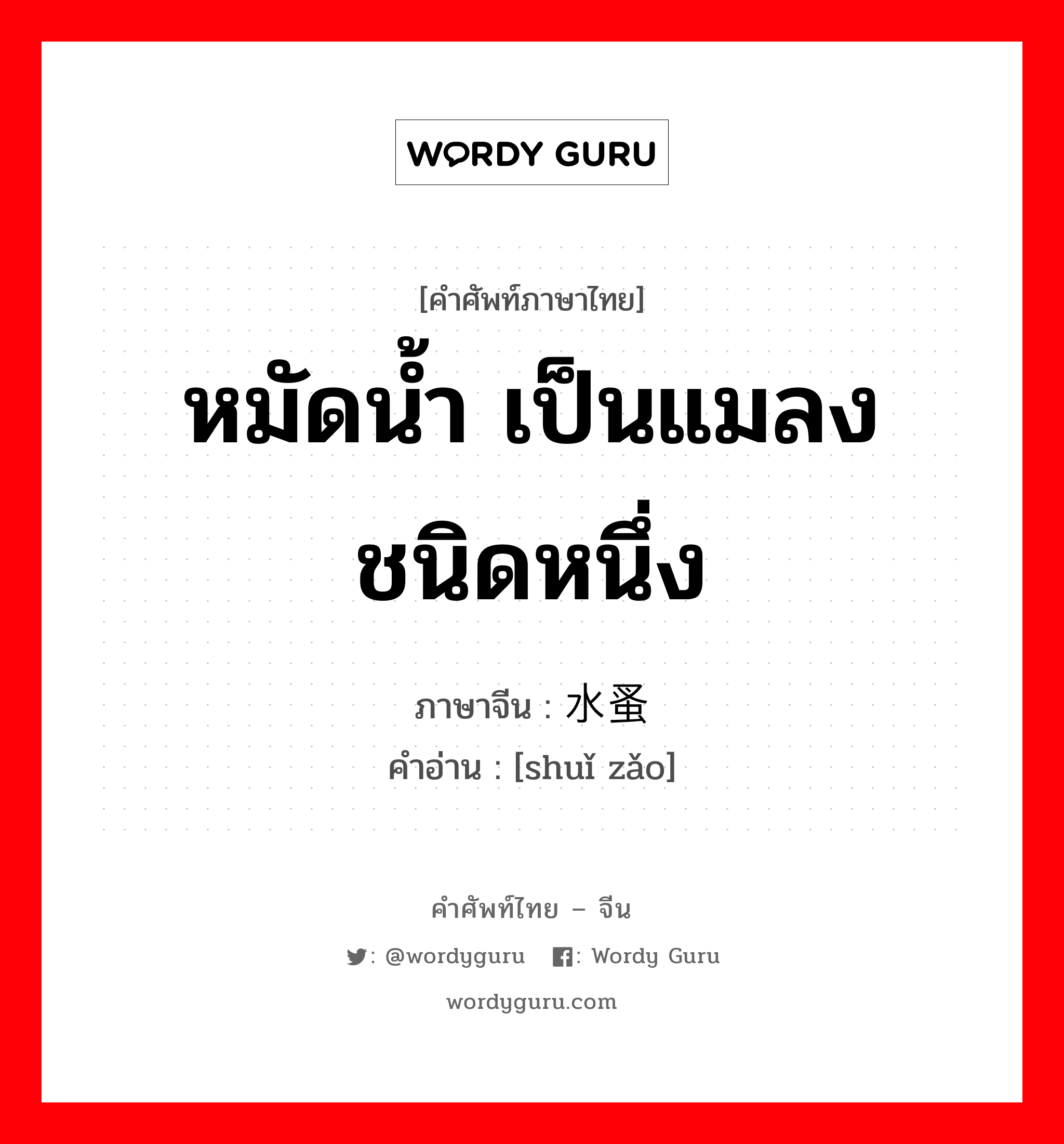 หมัดน้ำ เป็นแมลงชนิดหนึ่ง ภาษาจีนคืออะไร, คำศัพท์ภาษาไทย - จีน หมัดน้ำ เป็นแมลงชนิดหนึ่ง ภาษาจีน 水蚤 คำอ่าน [shuǐ zǎo]