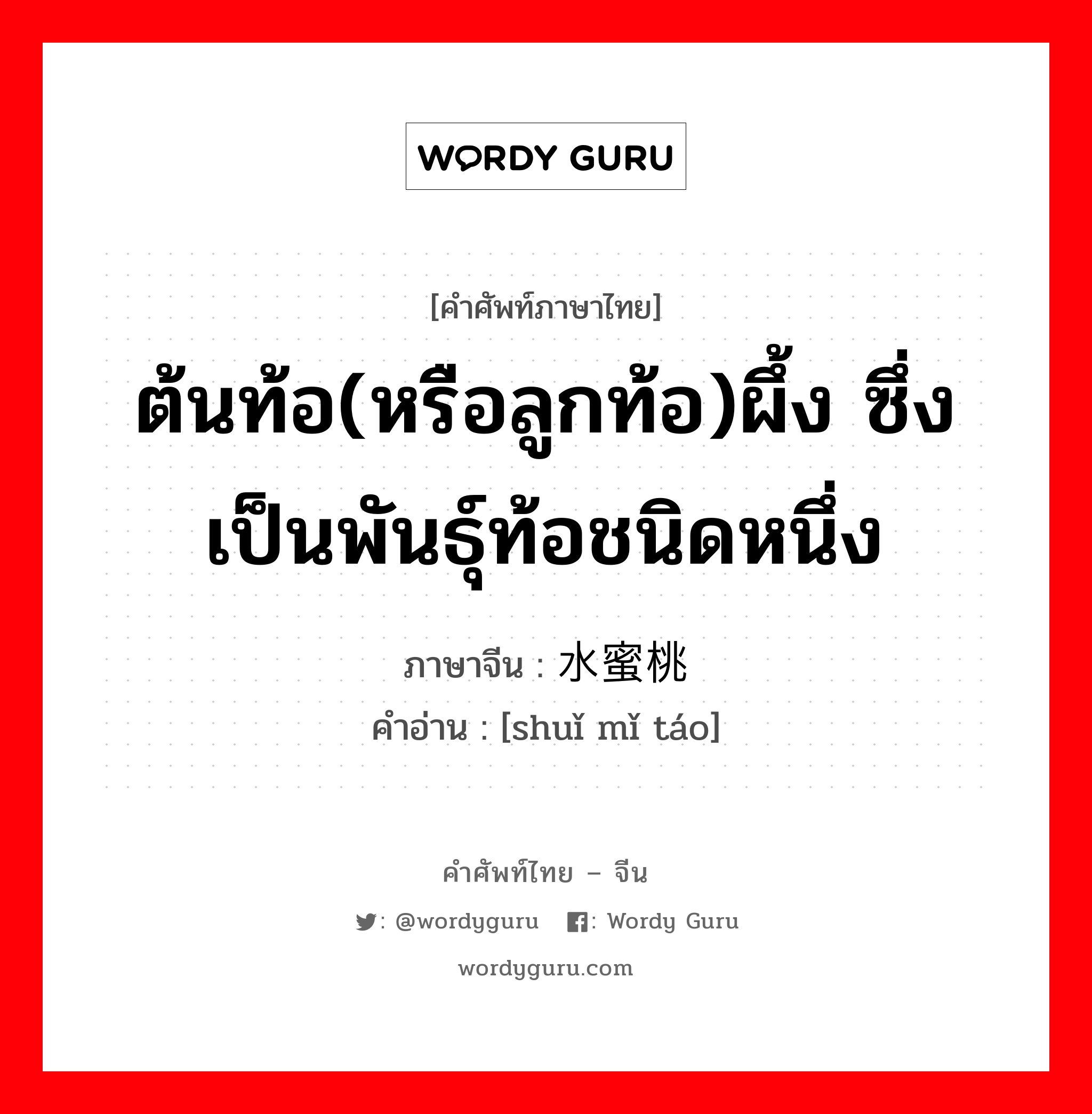 ต้นท้อ(หรือลูกท้อ)ผึ้ง ซึ่งเป็นพันธุ์ท้อชนิดหนึ่ง ภาษาจีนคืออะไร, คำศัพท์ภาษาไทย - จีน ต้นท้อ(หรือลูกท้อ)ผึ้ง ซึ่งเป็นพันธุ์ท้อชนิดหนึ่ง ภาษาจีน 水蜜桃 คำอ่าน [shuǐ mǐ táo]