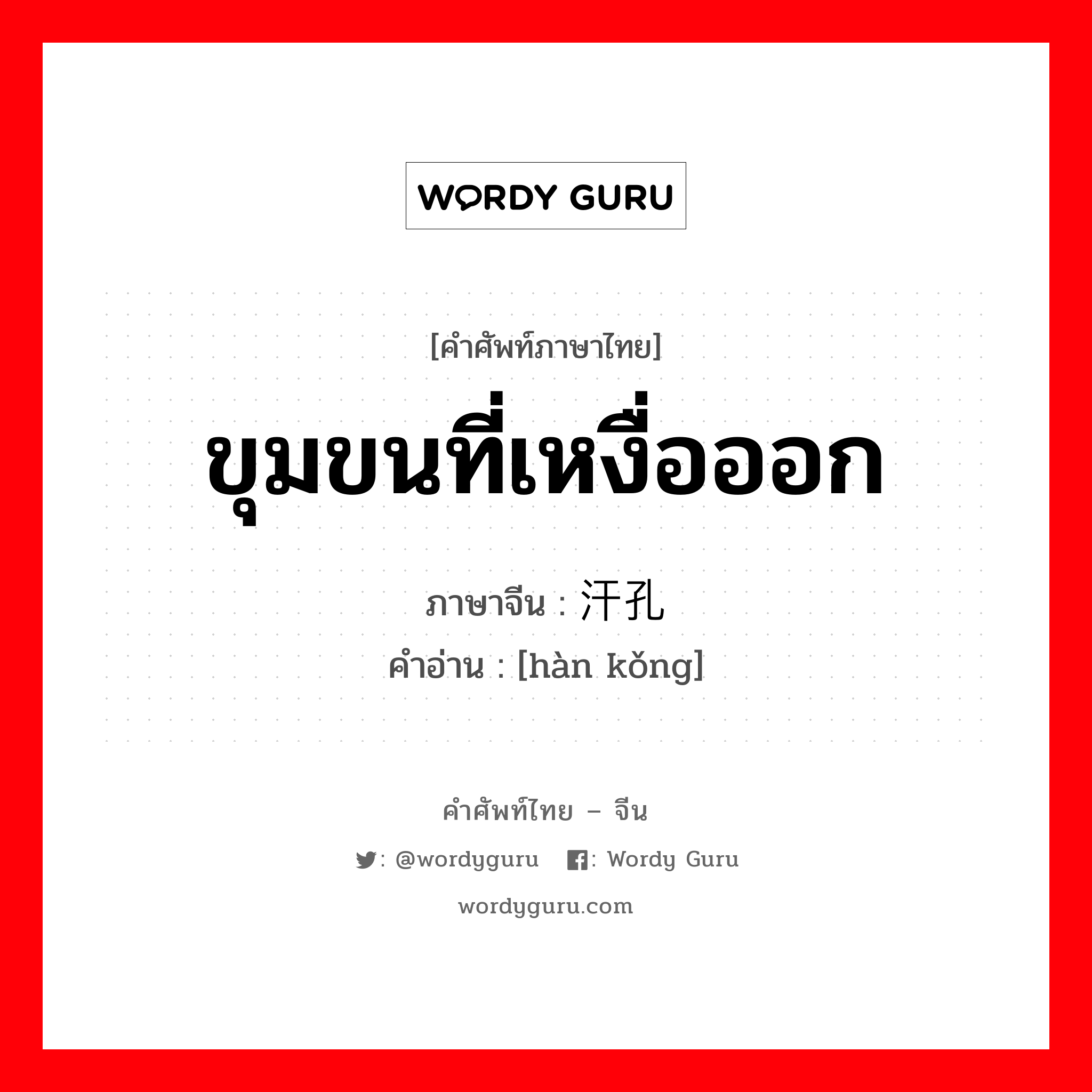 ขุมขนที่เหงื่อออก ภาษาจีนคืออะไร, คำศัพท์ภาษาไทย - จีน ขุมขนที่เหงื่อออก ภาษาจีน 汗孔 คำอ่าน [hàn kǒng]