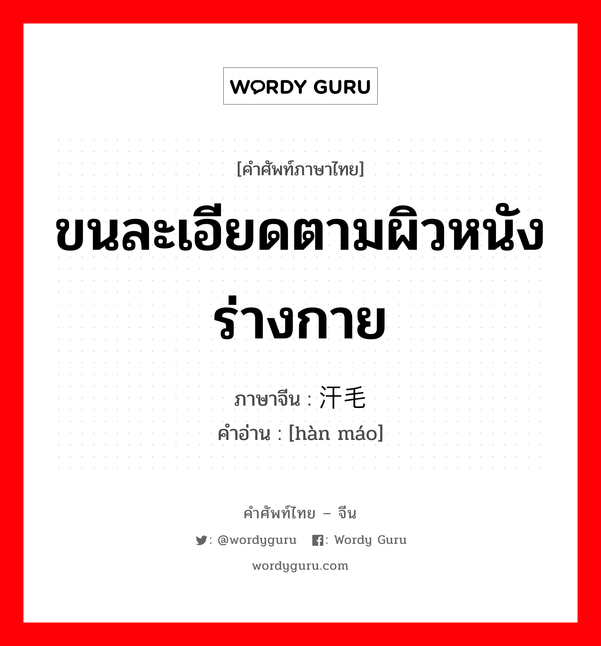 ขนละเอียดตามผิวหนังร่างกาย ภาษาจีนคืออะไร, คำศัพท์ภาษาไทย - จีน ขนละเอียดตามผิวหนังร่างกาย ภาษาจีน 汗毛 คำอ่าน [hàn máo]