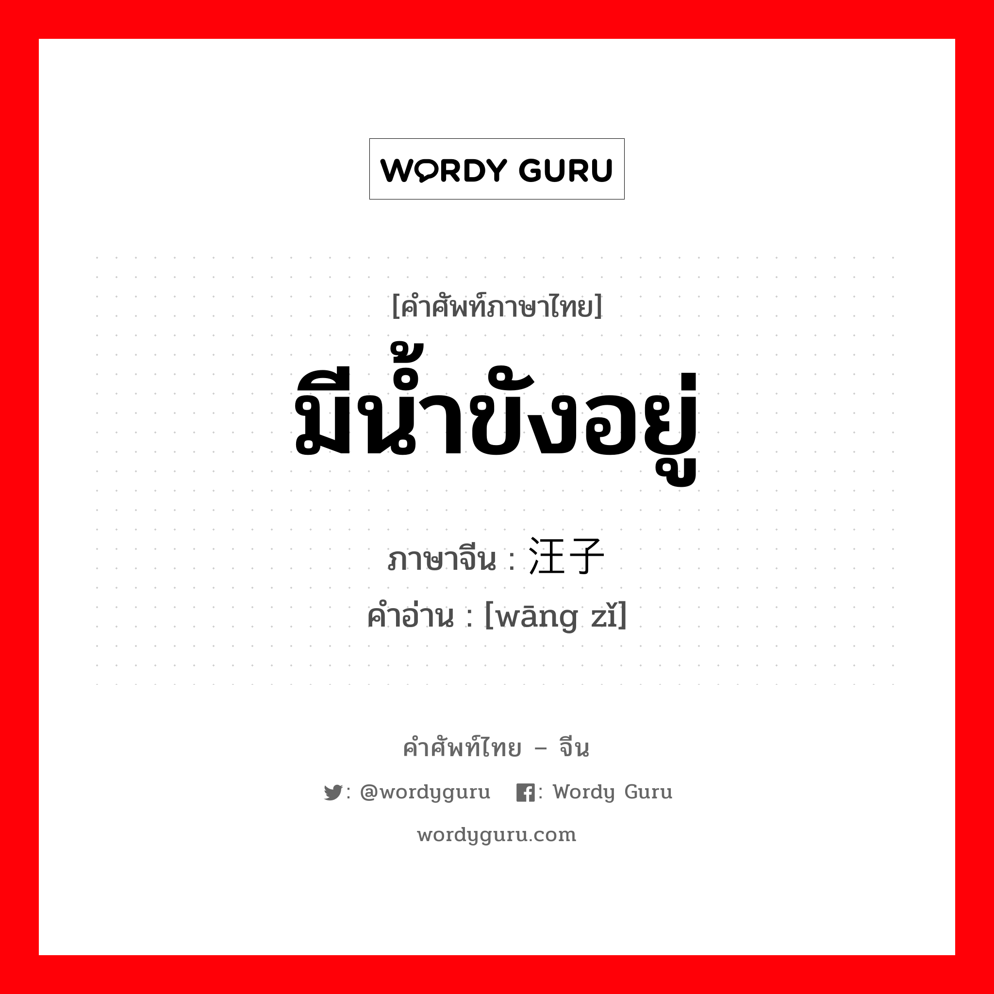 มีน้ำขังอยู่ ภาษาจีนคืออะไร, คำศัพท์ภาษาไทย - จีน มีน้ำขังอยู่ ภาษาจีน 汪子 คำอ่าน [wāng zǐ]