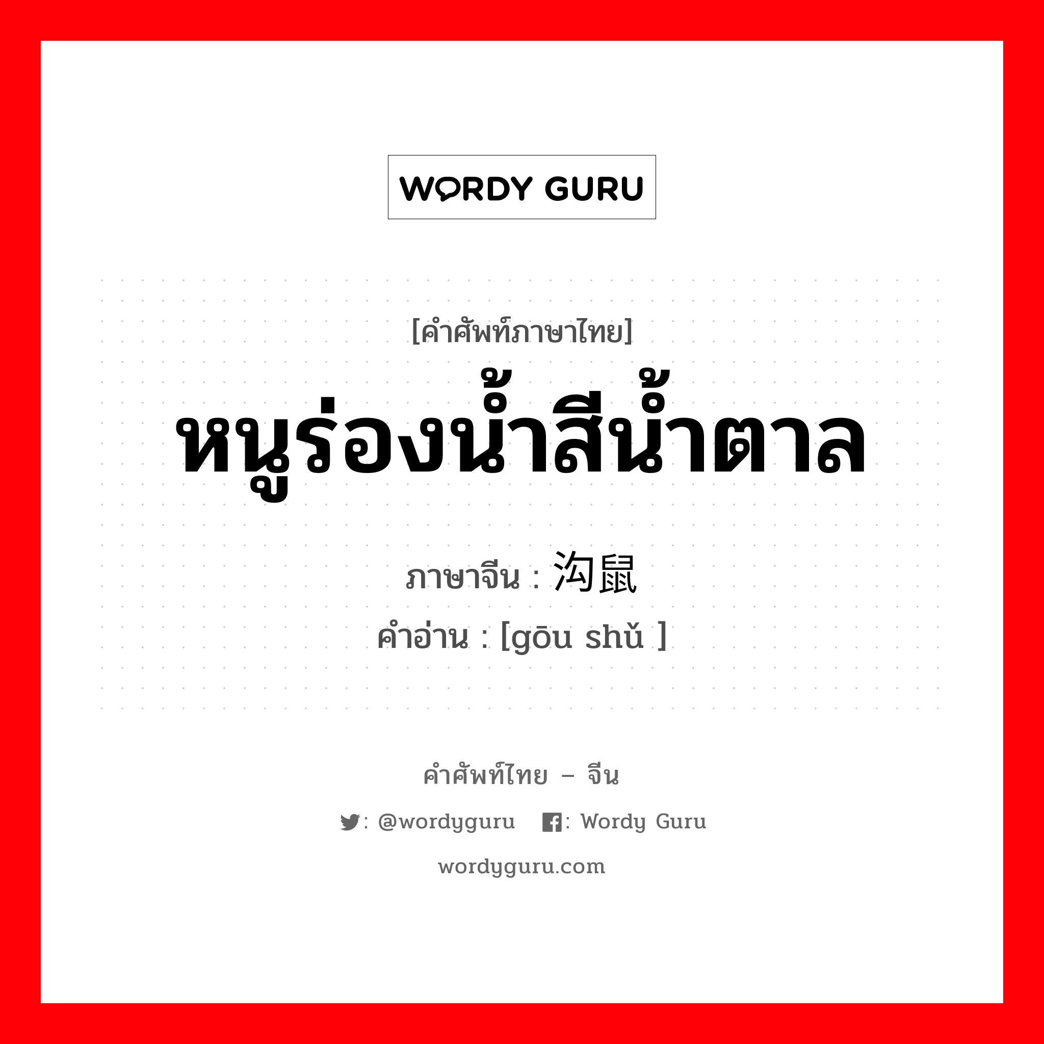 หนูร่องน้ำสีน้ำตาล ภาษาจีนคืออะไร, คำศัพท์ภาษาไทย - จีน หนูร่องน้ำสีน้ำตาล ภาษาจีน 沟鼠 คำอ่าน [gōu shǔ ]