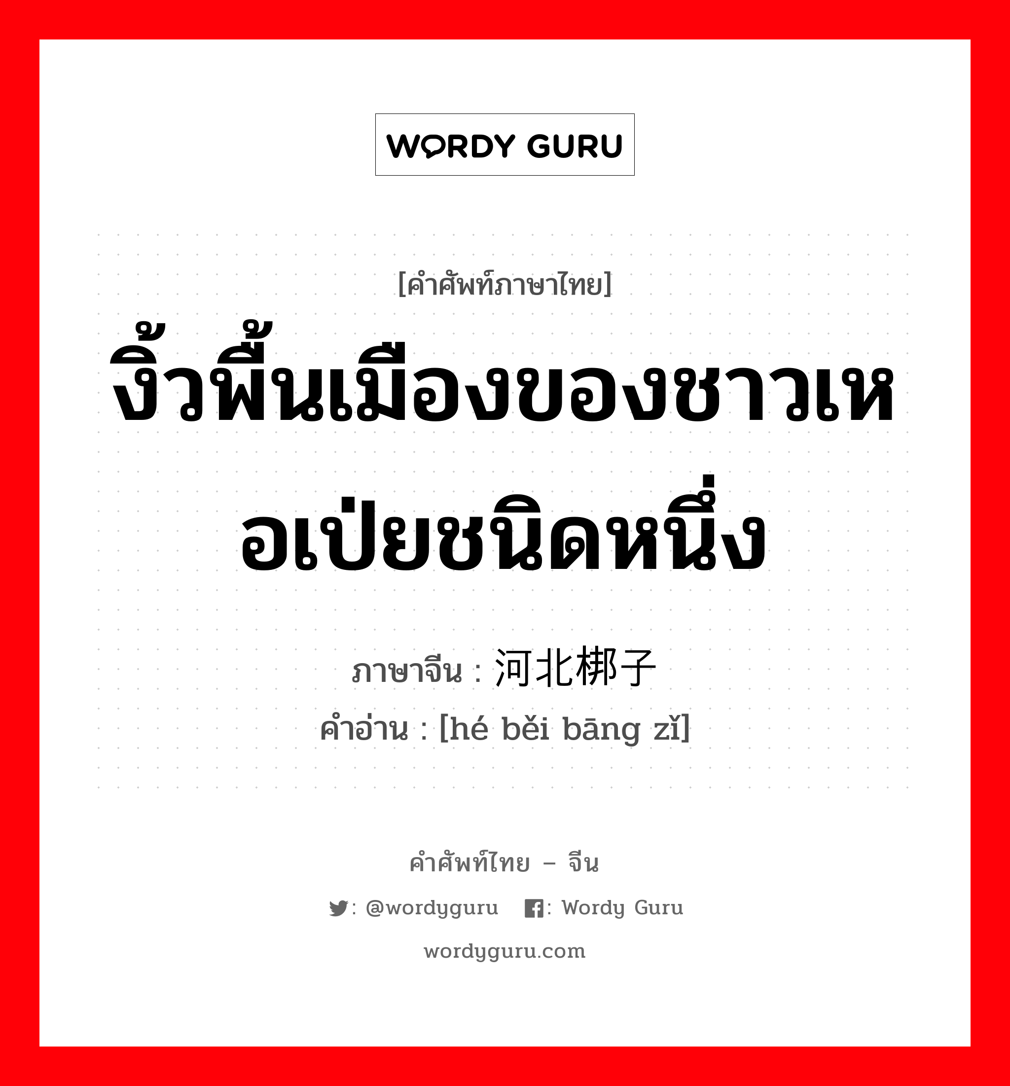 งิ้วพื้นเมืองของชาวเหอเป่ยชนิดหนึ่ง ภาษาจีนคืออะไร, คำศัพท์ภาษาไทย - จีน งิ้วพื้นเมืองของชาวเหอเป่ยชนิดหนึ่ง ภาษาจีน 河北梆子 คำอ่าน [hé běi bāng zǐ]