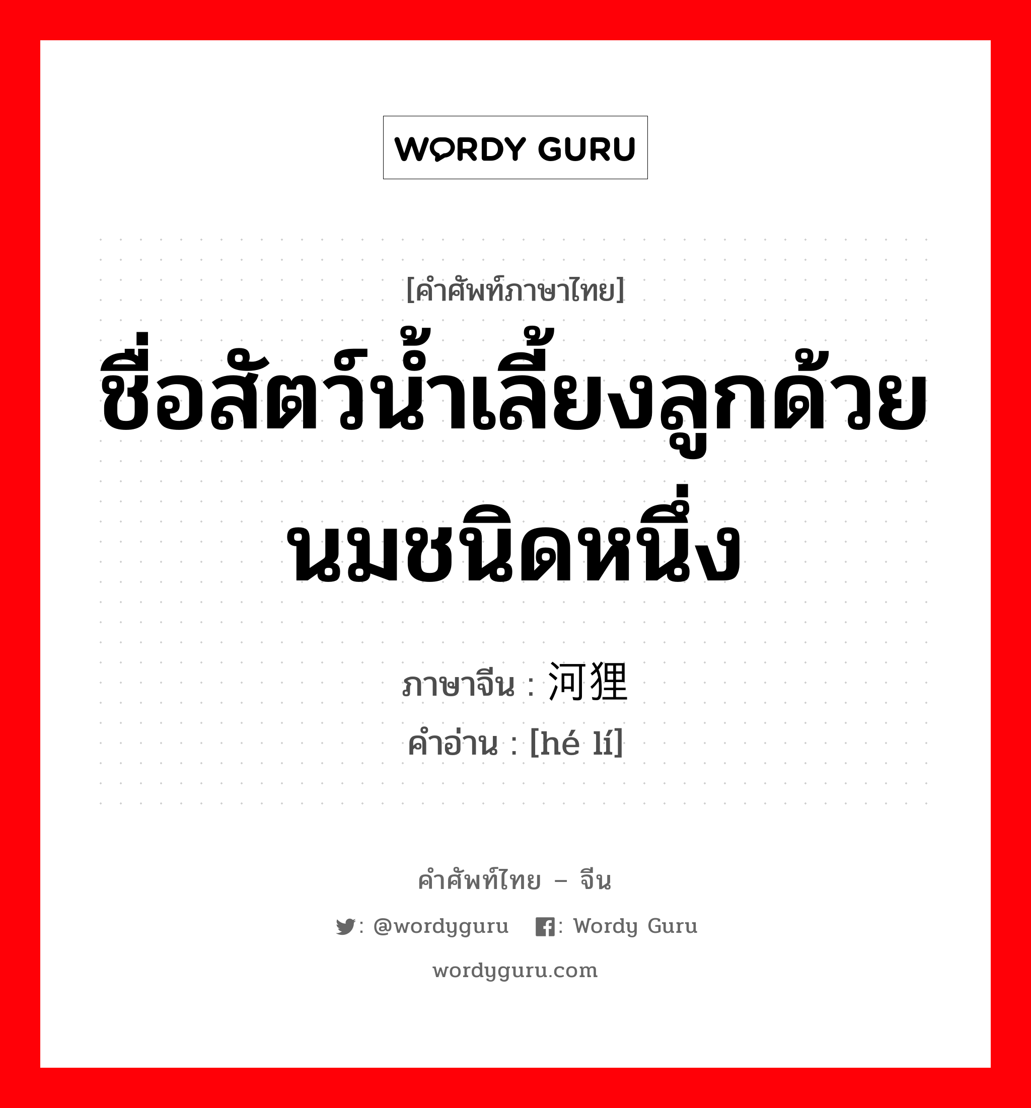 ชื่อสัตว์น้ำเลี้ยงลูกด้วยนมชนิดหนึ่ง ภาษาจีนคืออะไร, คำศัพท์ภาษาไทย - จีน ชื่อสัตว์น้ำเลี้ยงลูกด้วยนมชนิดหนึ่ง ภาษาจีน 河狸 คำอ่าน [hé lí]