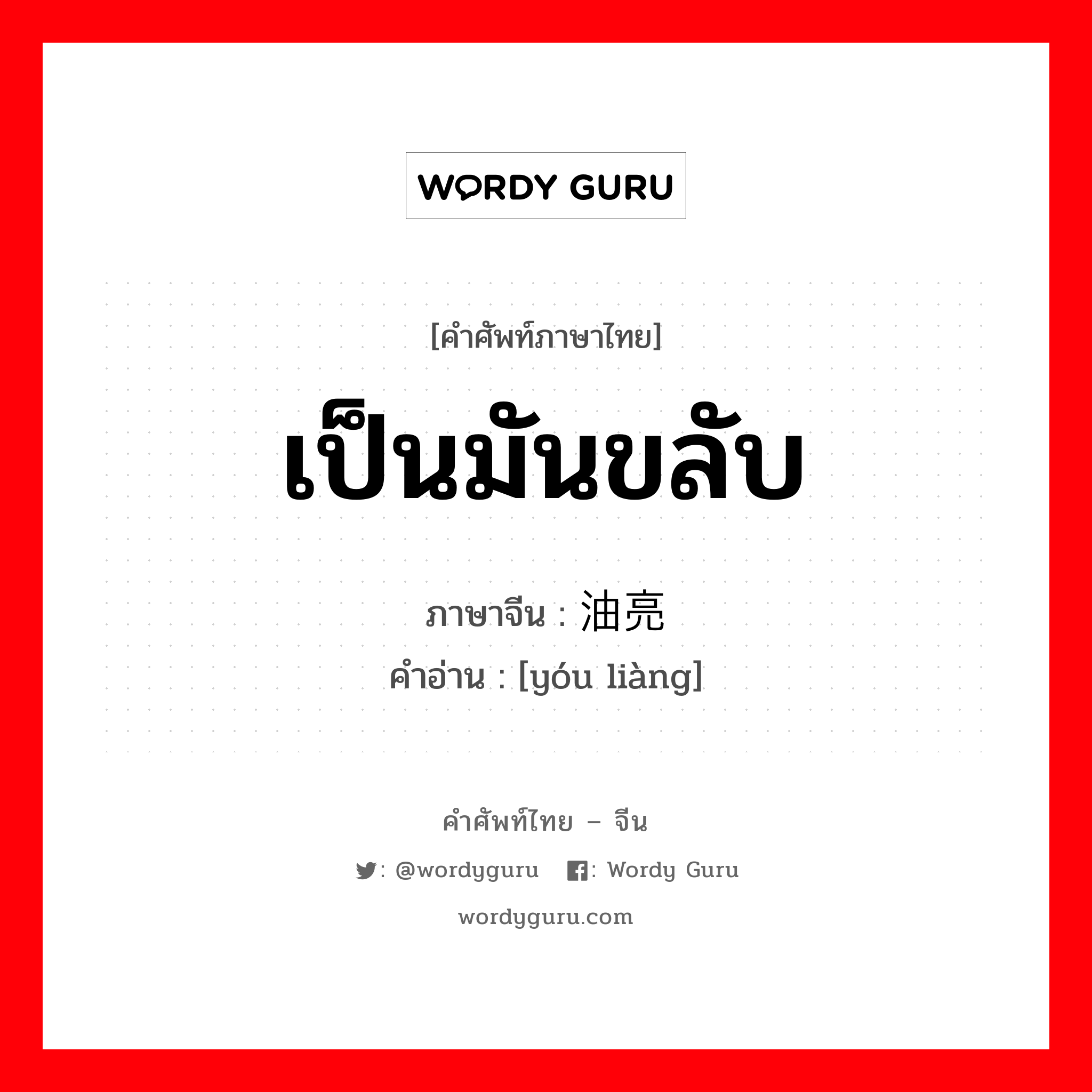 เป็นมันขลับ ภาษาจีนคืออะไร, คำศัพท์ภาษาไทย - จีน เป็นมันขลับ ภาษาจีน 油亮 คำอ่าน [yóu liàng]