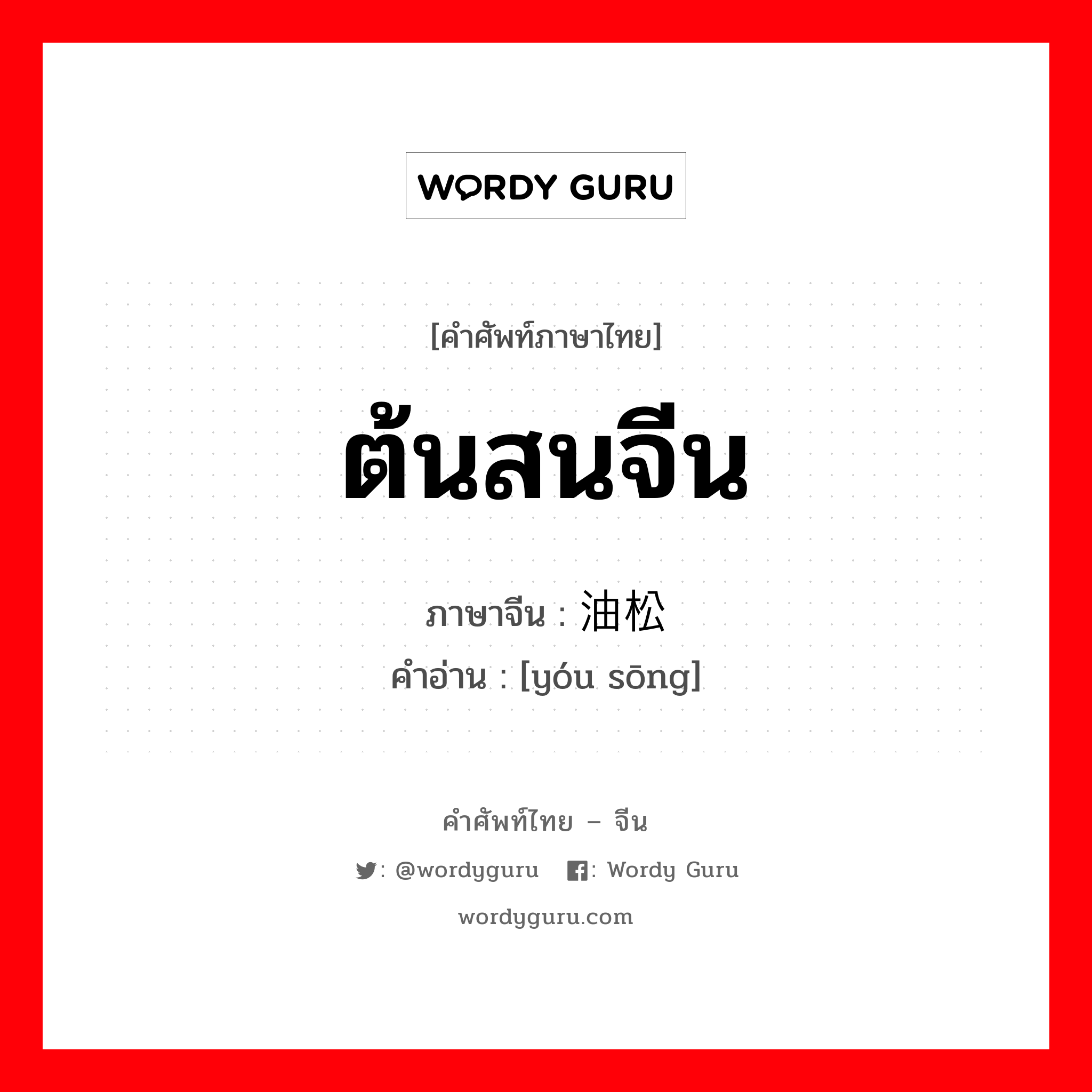 ต้นสนจีน ภาษาจีนคืออะไร, คำศัพท์ภาษาไทย - จีน ต้นสนจีน ภาษาจีน 油松 คำอ่าน [yóu sōng]