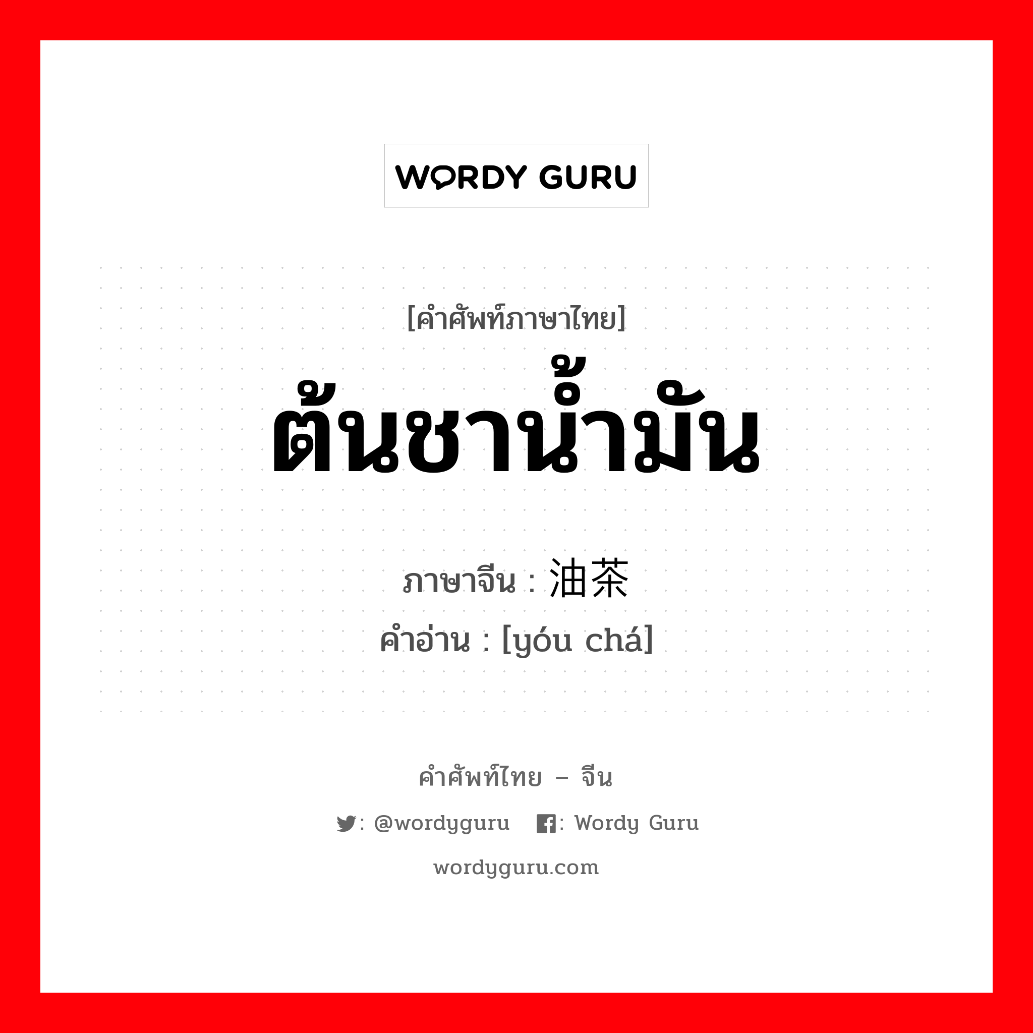 ต้นชาน้ำมัน ภาษาจีนคืออะไร, คำศัพท์ภาษาไทย - จีน ต้นชาน้ำมัน ภาษาจีน 油茶 คำอ่าน [yóu chá]