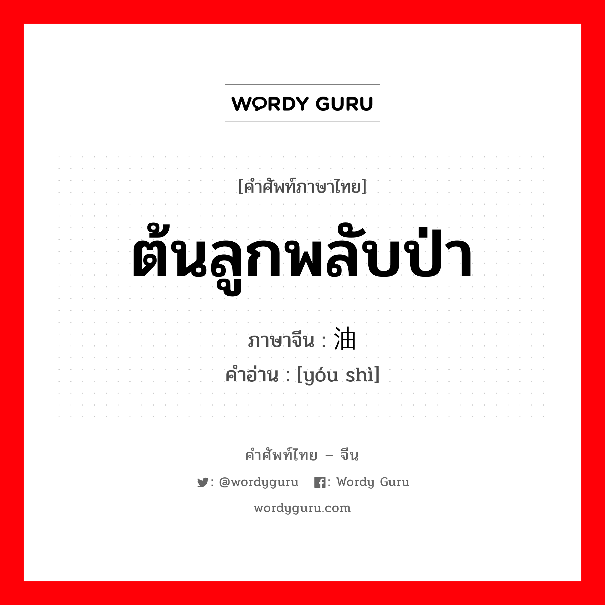 ต้นลูกพลับป่า ภาษาจีนคืออะไร, คำศัพท์ภาษาไทย - จีน ต้นลูกพลับป่า ภาษาจีน 油饰 คำอ่าน [yóu shì]