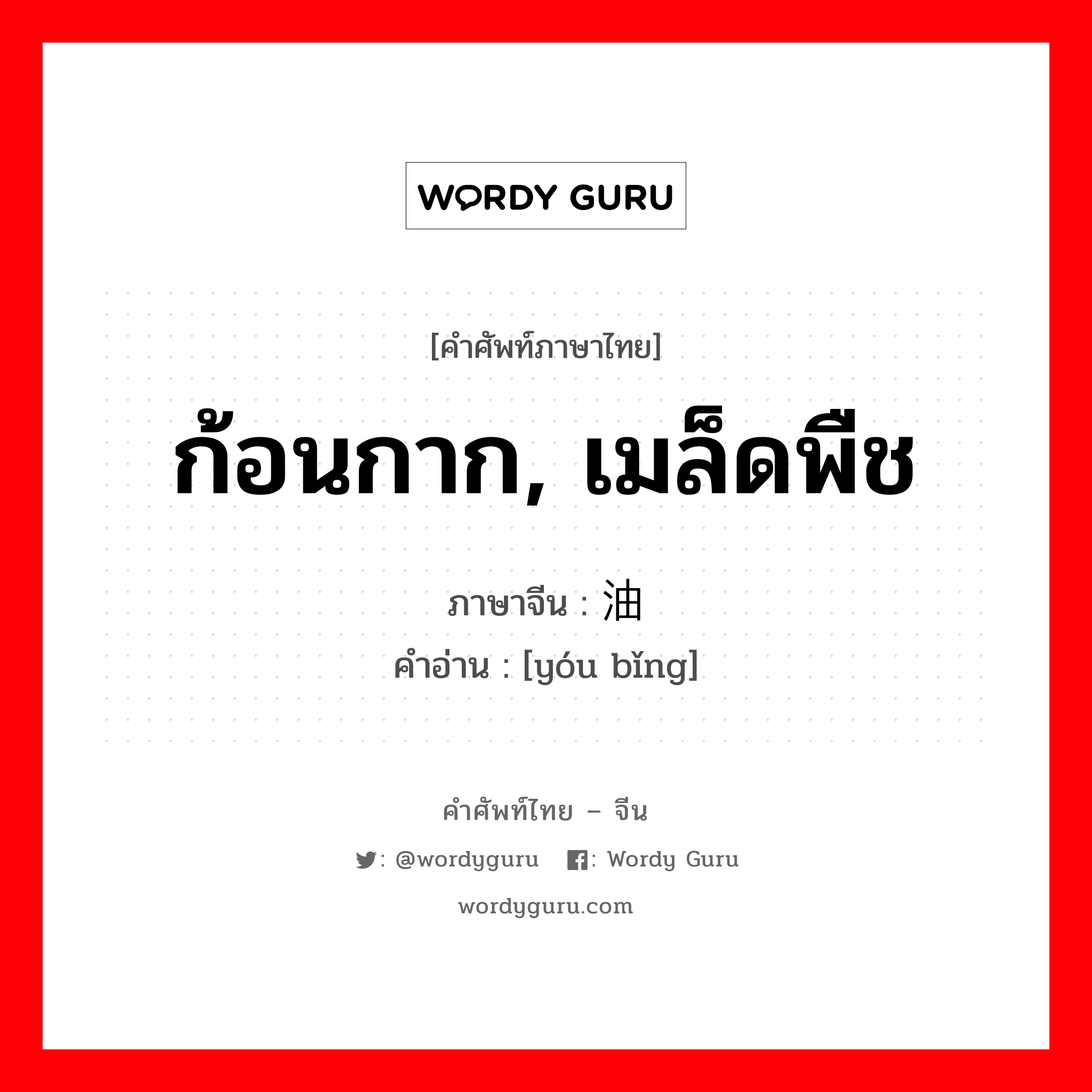 ก้อนกาก, เมล็ดพืช ภาษาจีนคืออะไร, คำศัพท์ภาษาไทย - จีน ก้อนกาก, เมล็ดพืช ภาษาจีน 油饼 คำอ่าน [yóu bǐng]