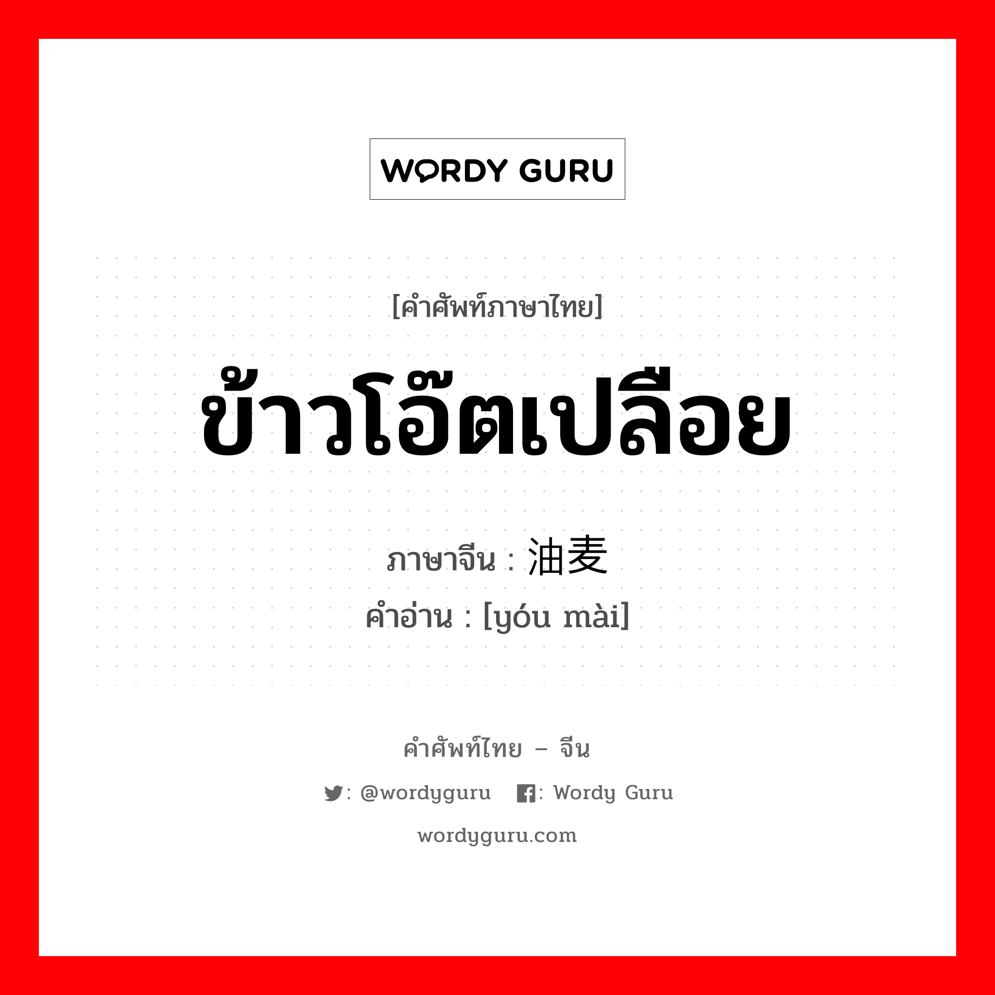 ข้าวโอ๊ตเปลือย ภาษาจีนคืออะไร, คำศัพท์ภาษาไทย - จีน ข้าวโอ๊ตเปลือย ภาษาจีน 油麦 คำอ่าน [yóu mài]