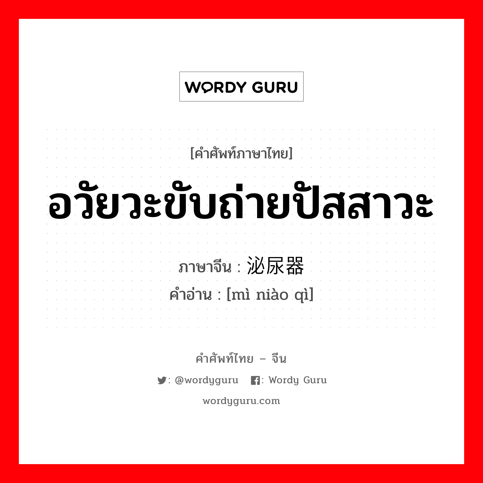 อวัยวะขับถ่ายปัสสาวะ ภาษาจีนคืออะไร, คำศัพท์ภาษาไทย - จีน อวัยวะขับถ่ายปัสสาวะ ภาษาจีน 泌尿器 คำอ่าน [mì niào qì]