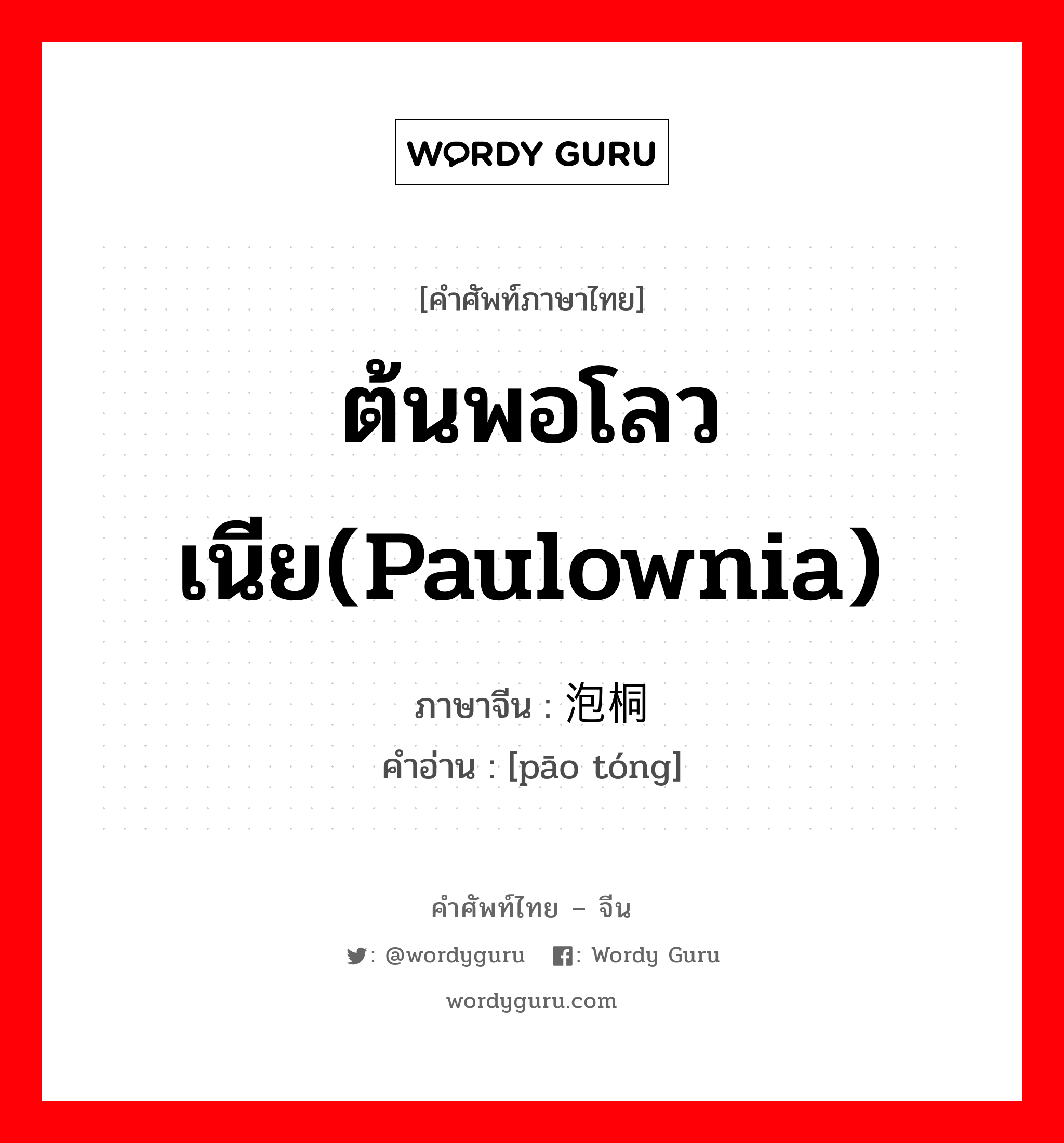 ต้นพอโลวเนีย(paulownia) ภาษาจีนคืออะไร, คำศัพท์ภาษาไทย - จีน ต้นพอโลวเนีย(paulownia) ภาษาจีน 泡桐 คำอ่าน [pāo tóng]