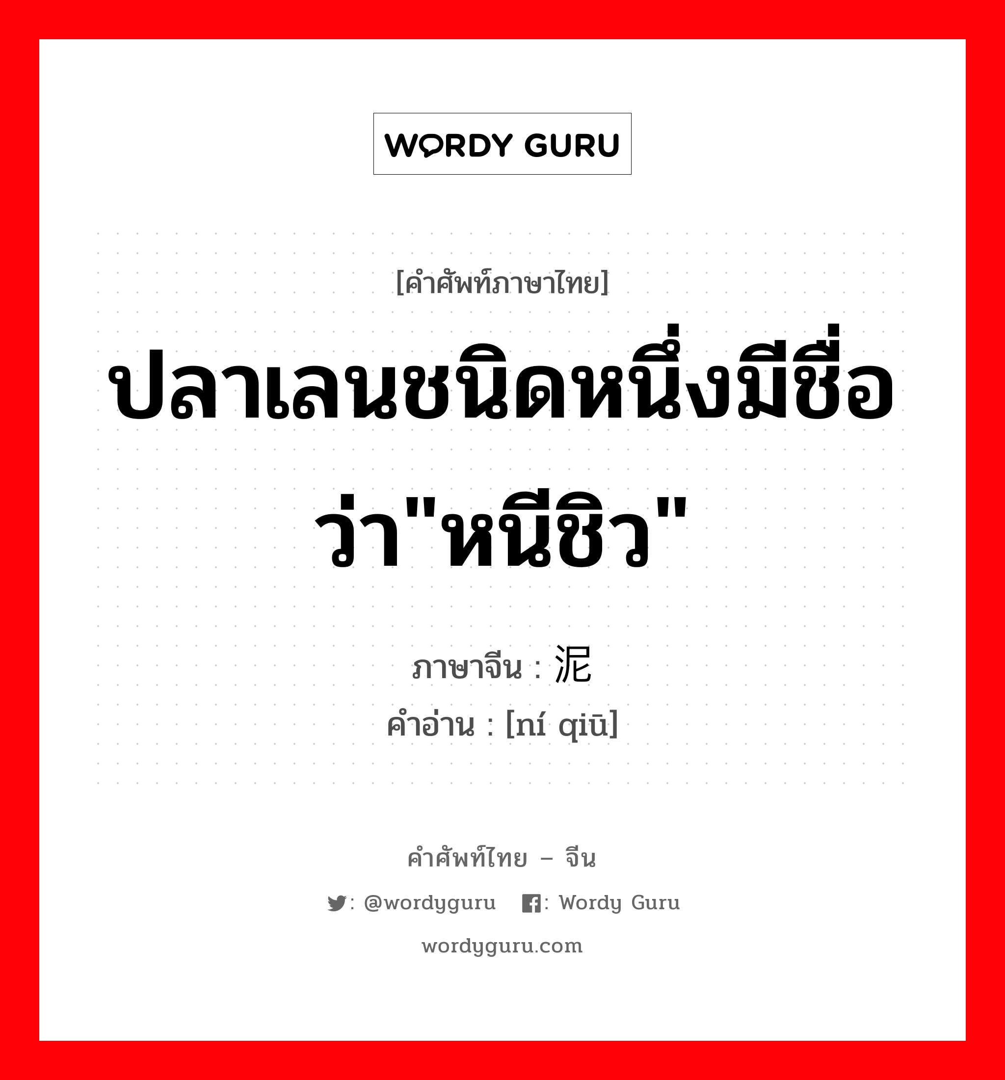 ปลาเลนชนิดหนึ่งมีชื่อว่า&#34;หนีชิว&#34; ภาษาจีนคืออะไร, คำศัพท์ภาษาไทย - จีน ปลาเลนชนิดหนึ่งมีชื่อว่า&#34;หนีชิว&#34; ภาษาจีน 泥鳅 คำอ่าน [ní qiū]