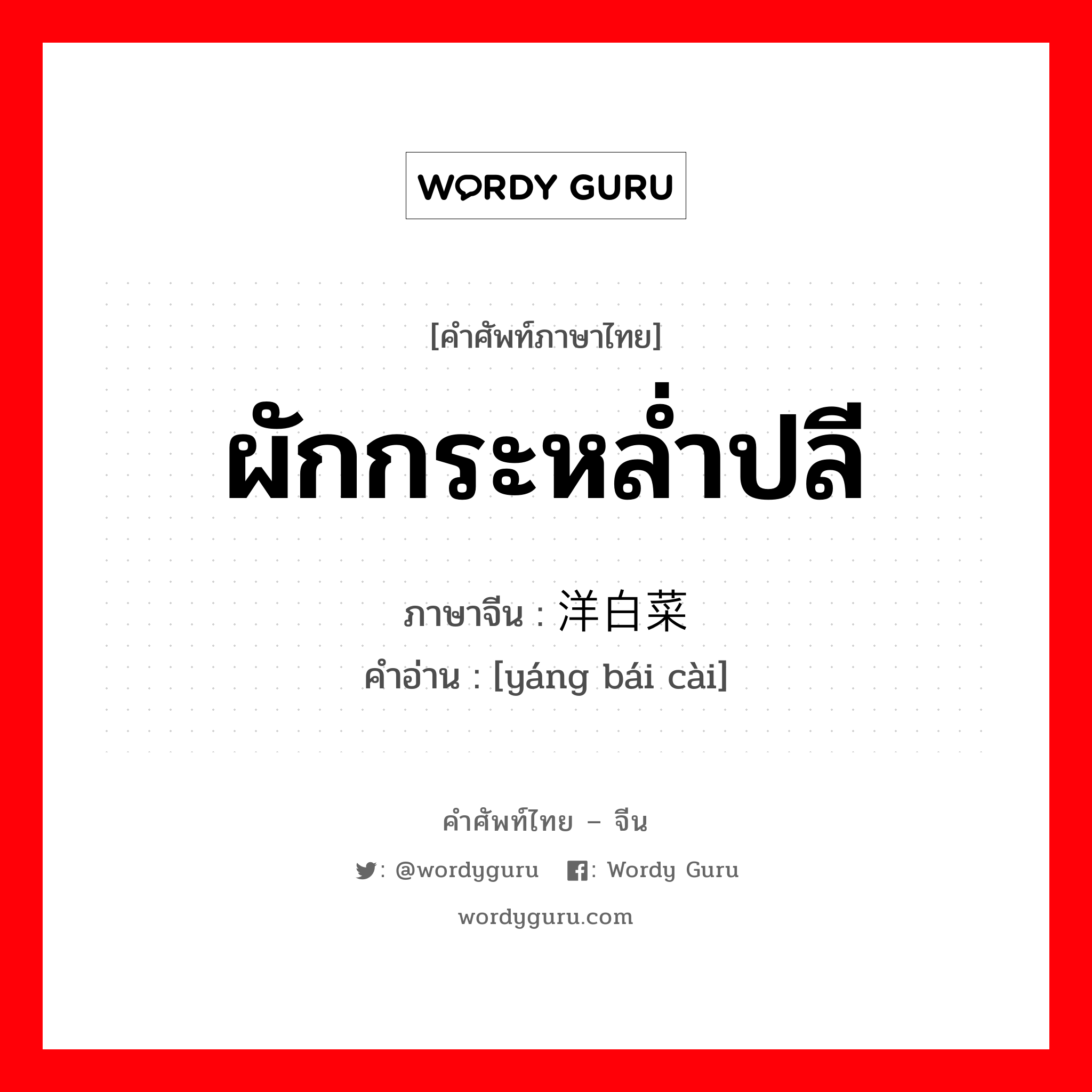 ผักกระหล่ำปลี ภาษาจีนคืออะไร, คำศัพท์ภาษาไทย - จีน ผักกระหล่ำปลี ภาษาจีน 洋白菜 คำอ่าน [yáng bái cài]