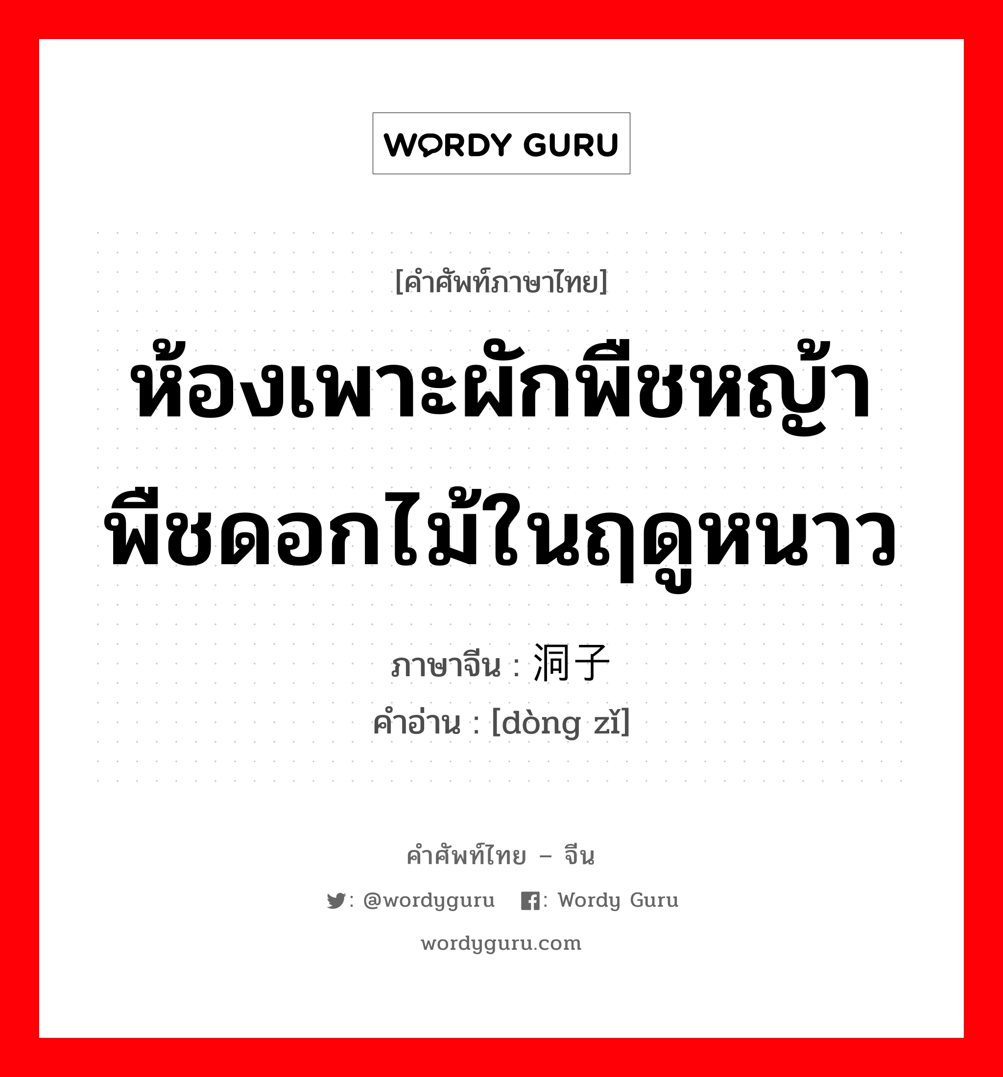 ห้องเพาะผักพืชหญ้าพืชดอกไม้ในฤดูหนาว ภาษาจีนคืออะไร, คำศัพท์ภาษาไทย - จีน ห้องเพาะผักพืชหญ้าพืชดอกไม้ในฤดูหนาว ภาษาจีน 洞子 คำอ่าน [dòng zǐ]