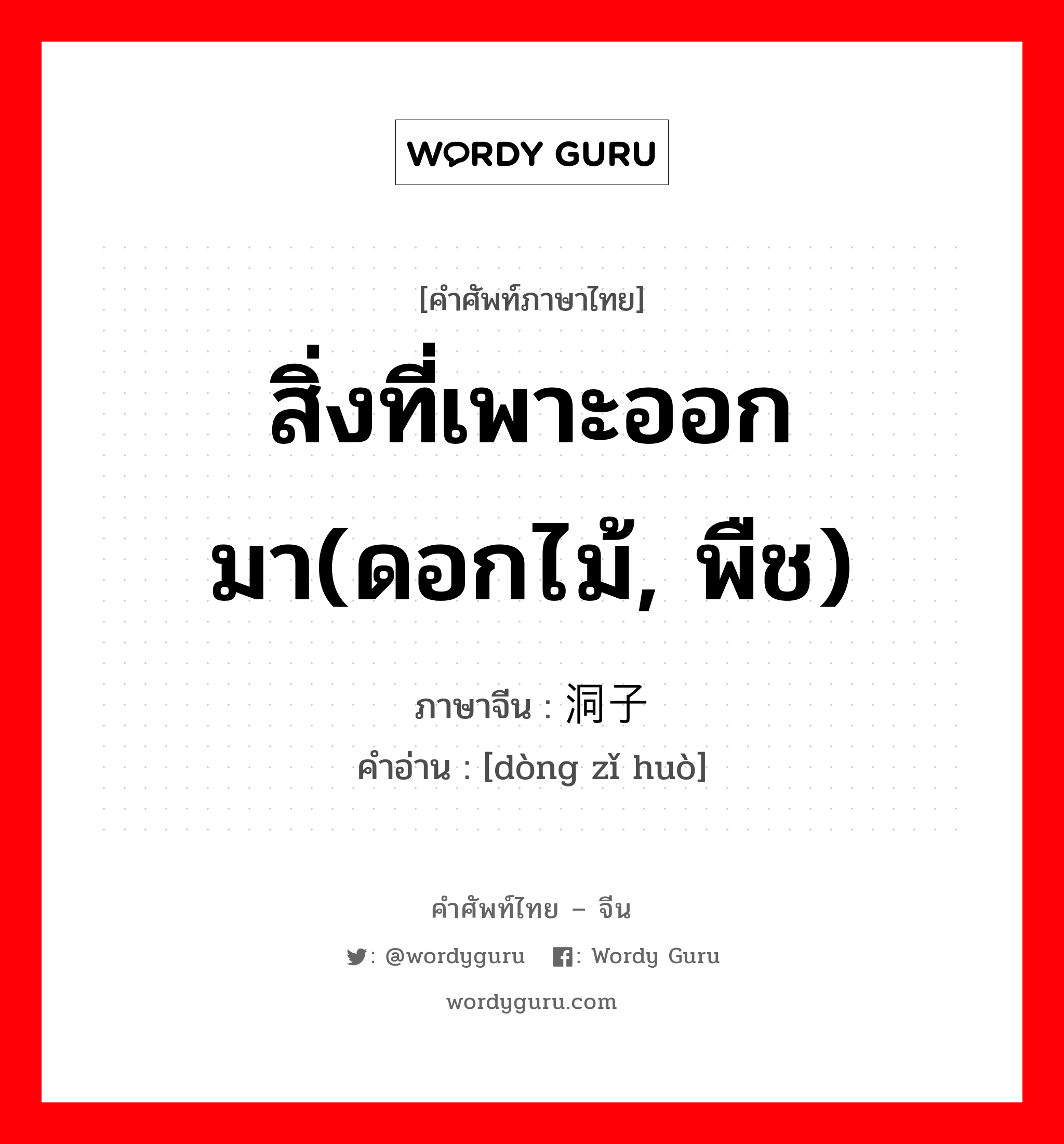 สิ่งที่เพาะออกมา(ดอกไม้, พืช) ภาษาจีนคืออะไร, คำศัพท์ภาษาไทย - จีน สิ่งที่เพาะออกมา(ดอกไม้, พืช) ภาษาจีน 洞子货 คำอ่าน [dòng zǐ huò]