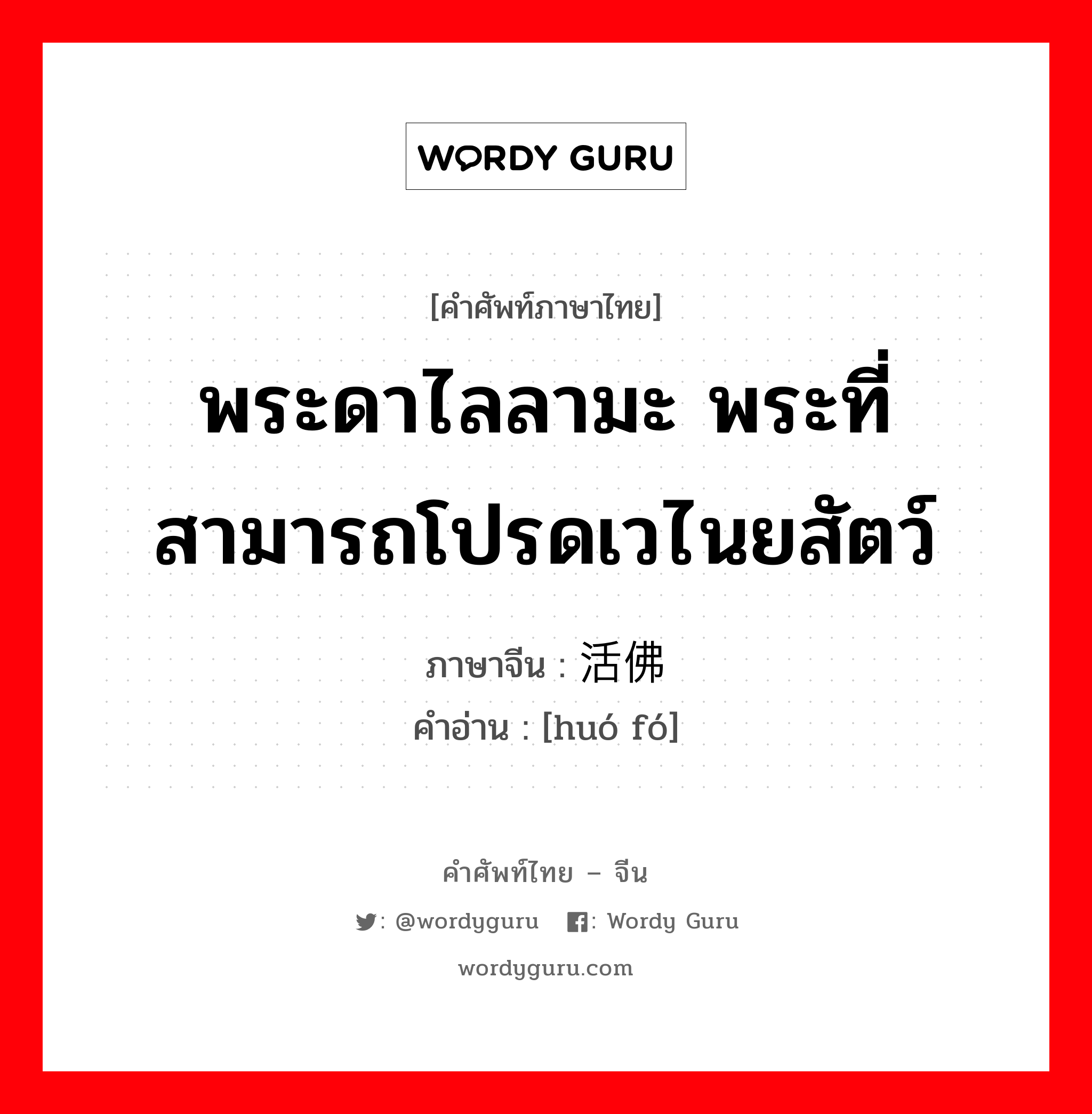 พระดาไลลามะ พระที่สามารถโปรดเวไนยสัตว์ ภาษาจีนคืออะไร, คำศัพท์ภาษาไทย - จีน พระดาไลลามะ พระที่สามารถโปรดเวไนยสัตว์ ภาษาจีน 活佛 คำอ่าน [huó fó]