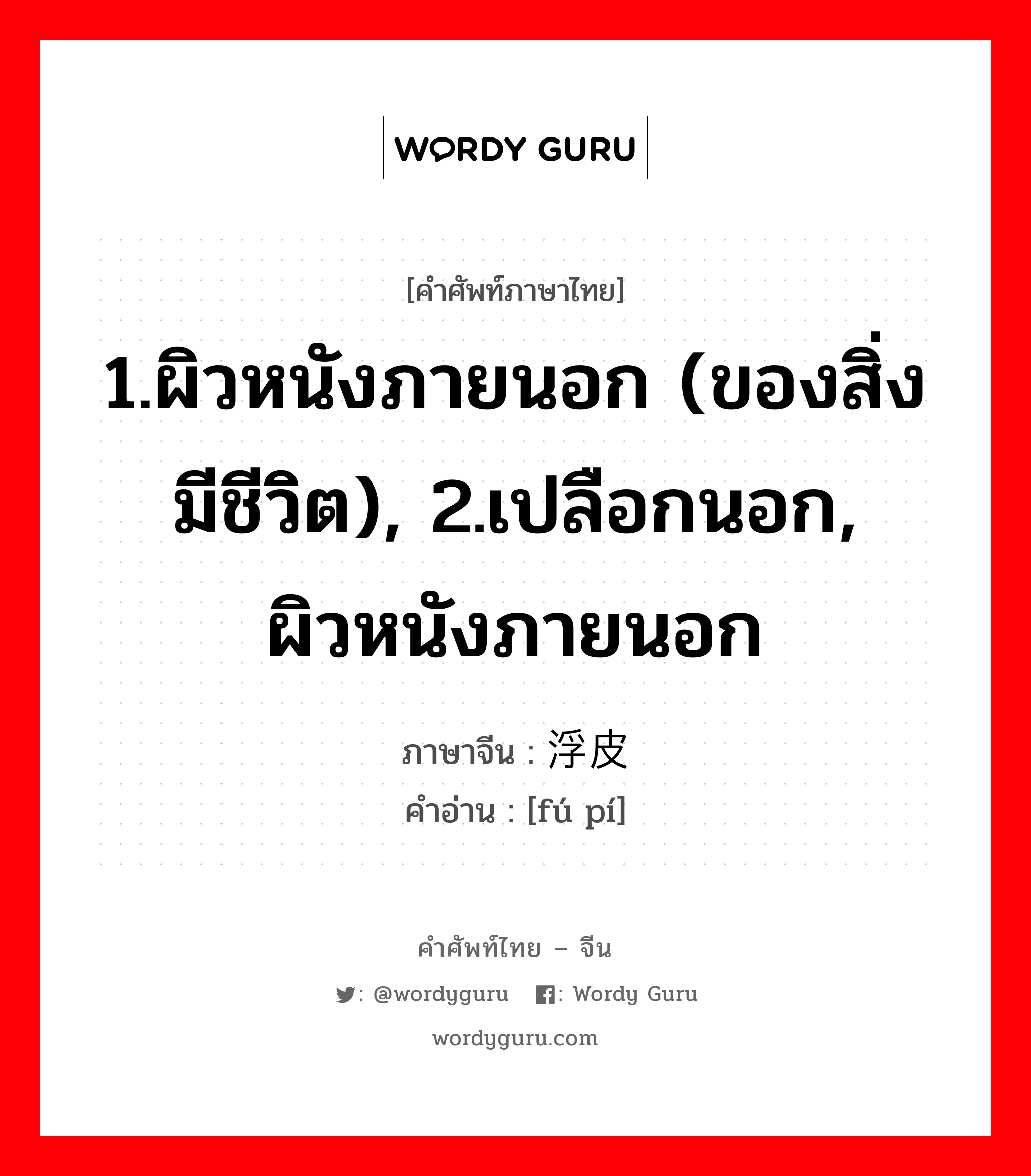 1.ผิวหนังภายนอก (ของสิ่งมีชีวิต), 2.เปลือกนอก, ผิวหนังภายนอก ภาษาจีนคืออะไร, คำศัพท์ภาษาไทย - จีน 1.ผิวหนังภายนอก (ของสิ่งมีชีวิต), 2.เปลือกนอก, ผิวหนังภายนอก ภาษาจีน 浮皮 คำอ่าน [fú pí]