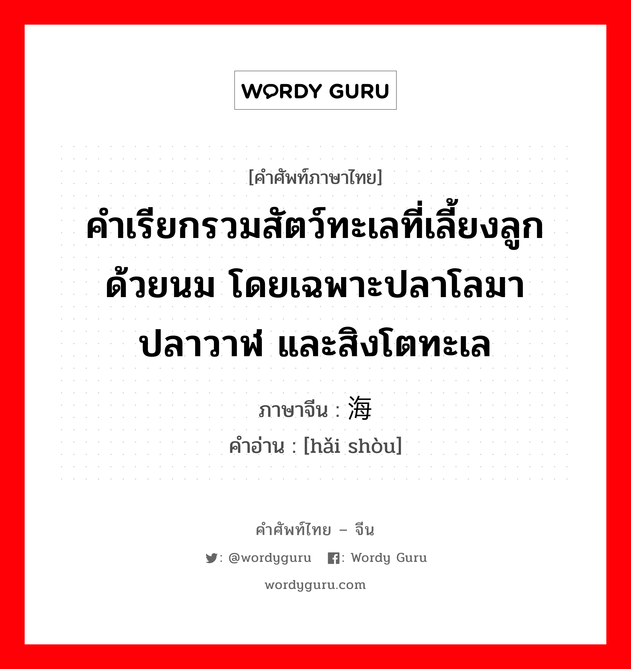 คำเรียกรวมสัตว์ทะเลที่เลี้ยงลูกด้วยนม โดยเฉพาะปลาโลมาปลาวาฬ และสิงโตทะเล ภาษาจีนคืออะไร, คำศัพท์ภาษาไทย - จีน คำเรียกรวมสัตว์ทะเลที่เลี้ยงลูกด้วยนม โดยเฉพาะปลาโลมาปลาวาฬ และสิงโตทะเล ภาษาจีน 海兽 คำอ่าน [hǎi shòu]