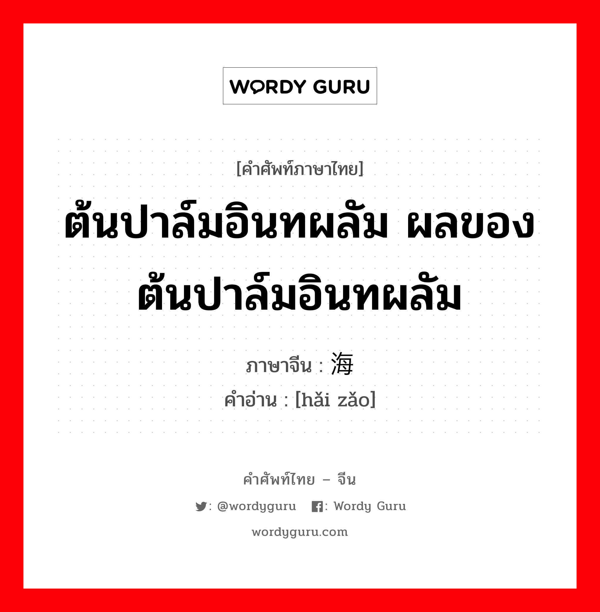 ต้นปาล์มอินทผลัม ผลของต้นปาล์มอินทผลัม ภาษาจีนคืออะไร, คำศัพท์ภาษาไทย - จีน ต้นปาล์มอินทผลัม ผลของต้นปาล์มอินทผลัม ภาษาจีน 海枣 คำอ่าน [hǎi zǎo]