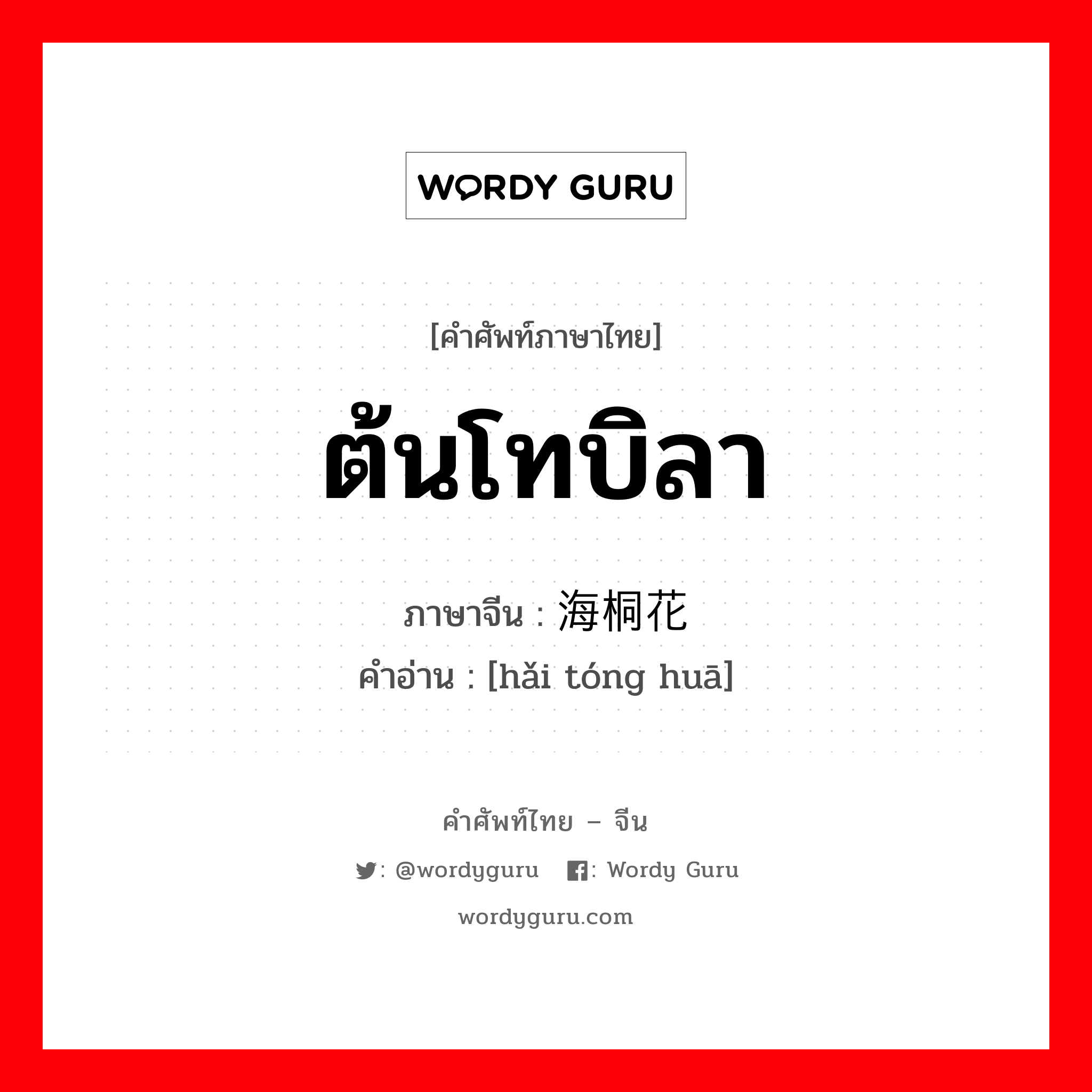 ต้นโทบิลา ภาษาจีนคืออะไร, คำศัพท์ภาษาไทย - จีน ต้นโทบิลา ภาษาจีน 海桐花 คำอ่าน [hǎi tóng huā]