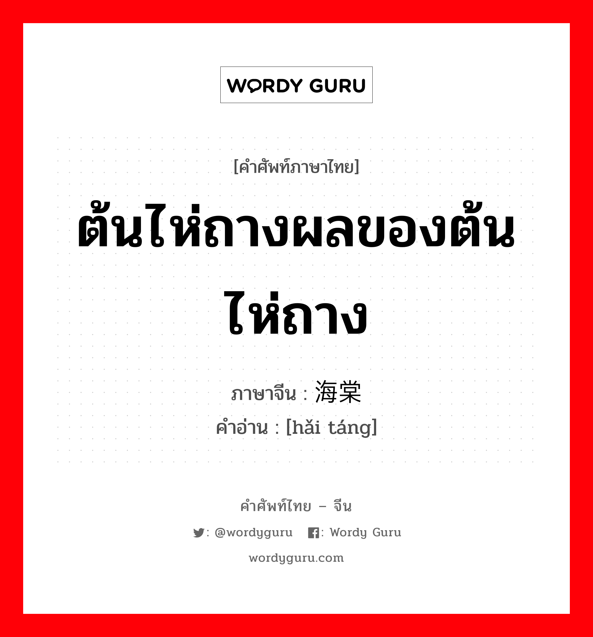 ต้นไห่ถางผลของต้นไห่ถาง ภาษาจีนคืออะไร, คำศัพท์ภาษาไทย - จีน ต้นไห่ถางผลของต้นไห่ถาง ภาษาจีน 海棠 คำอ่าน [hǎi táng]