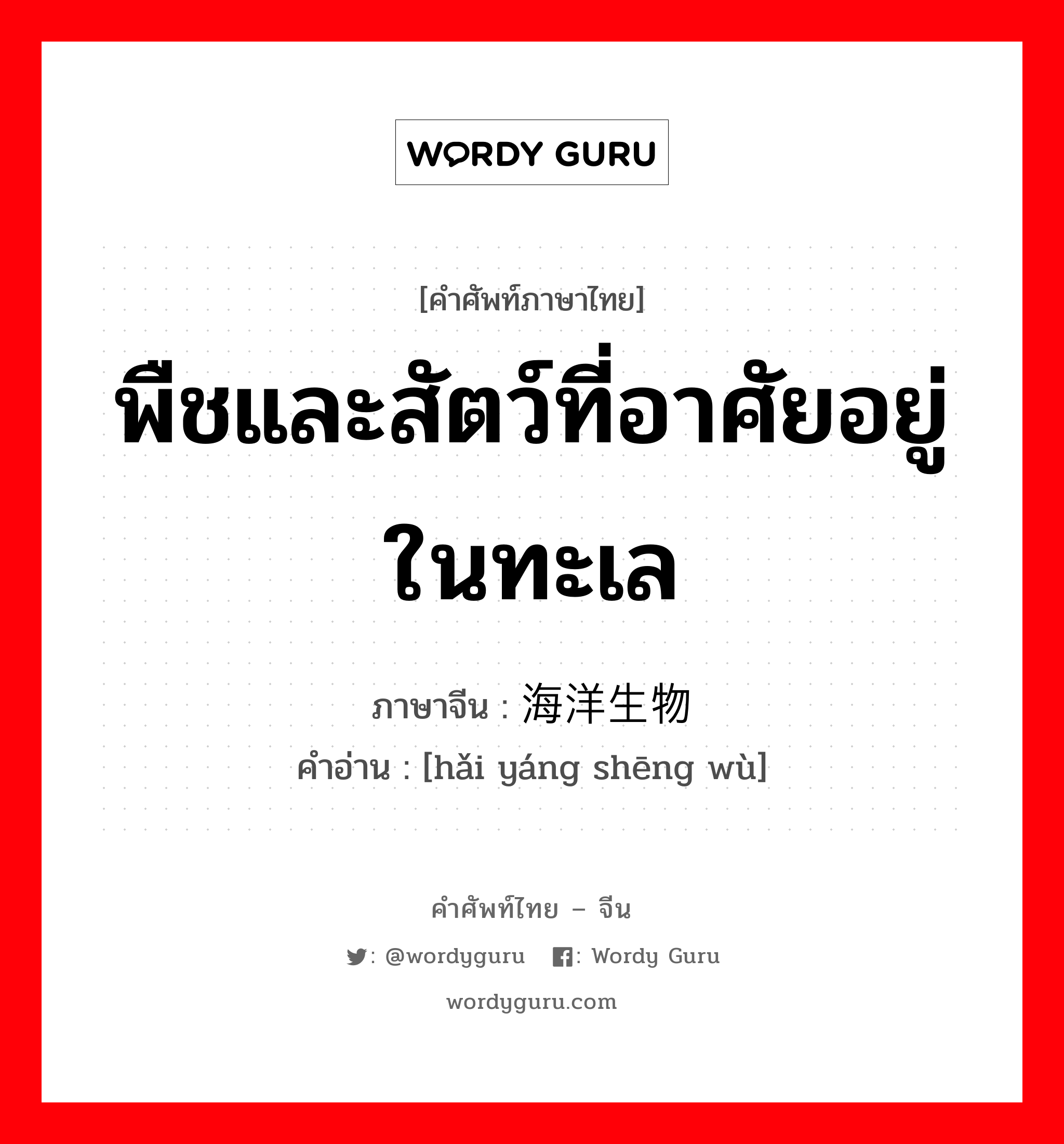 พืชและสัตว์ที่อาศัยอยู่ในทะเล ภาษาจีนคืออะไร, คำศัพท์ภาษาไทย - จีน พืชและสัตว์ที่อาศัยอยู่ในทะเล ภาษาจีน 海洋生物 คำอ่าน [hǎi yáng shēng wù]