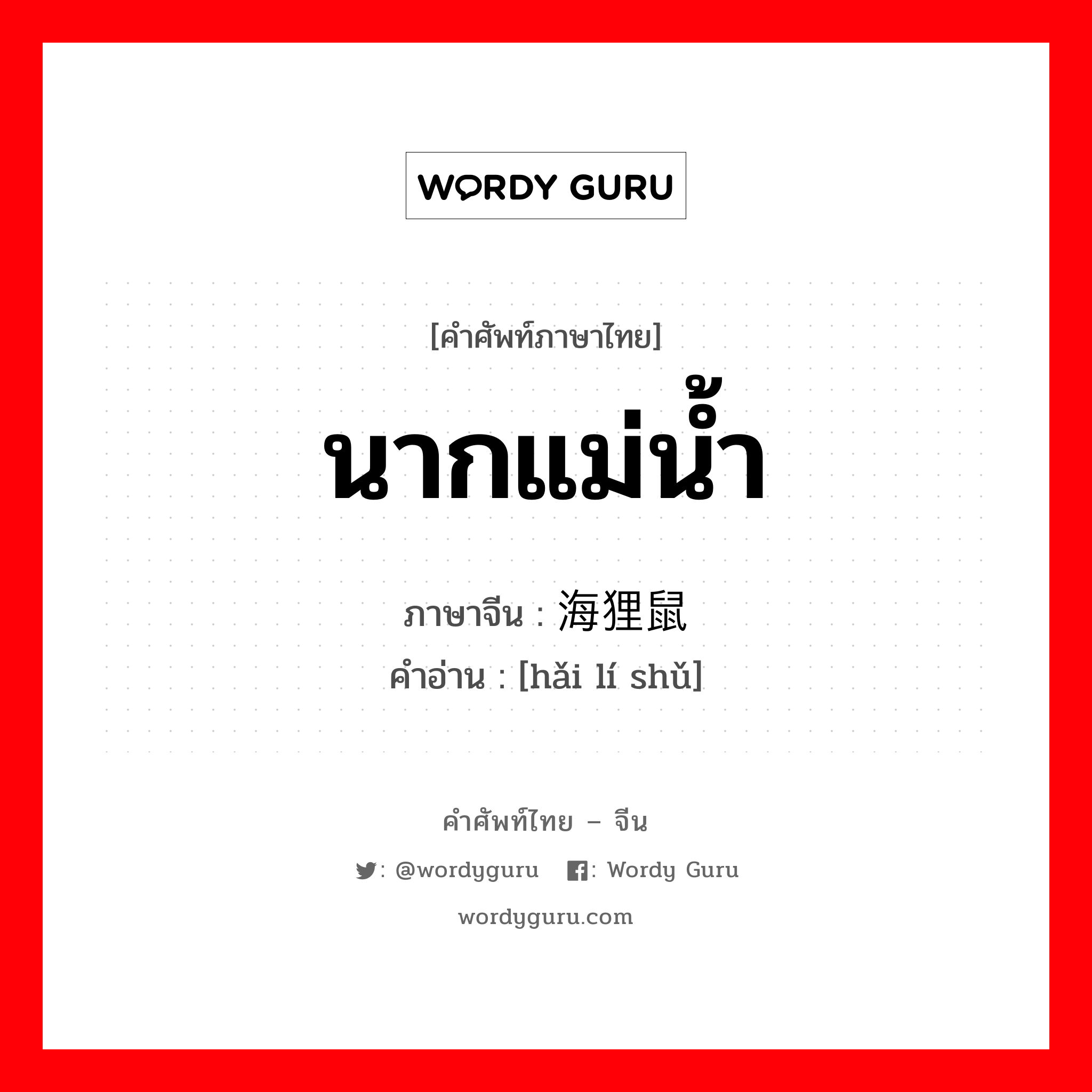 นากแม่น้ำ ภาษาจีนคืออะไร, คำศัพท์ภาษาไทย - จีน นากแม่น้ำ ภาษาจีน 海狸鼠 คำอ่าน [hǎi lí shǔ]