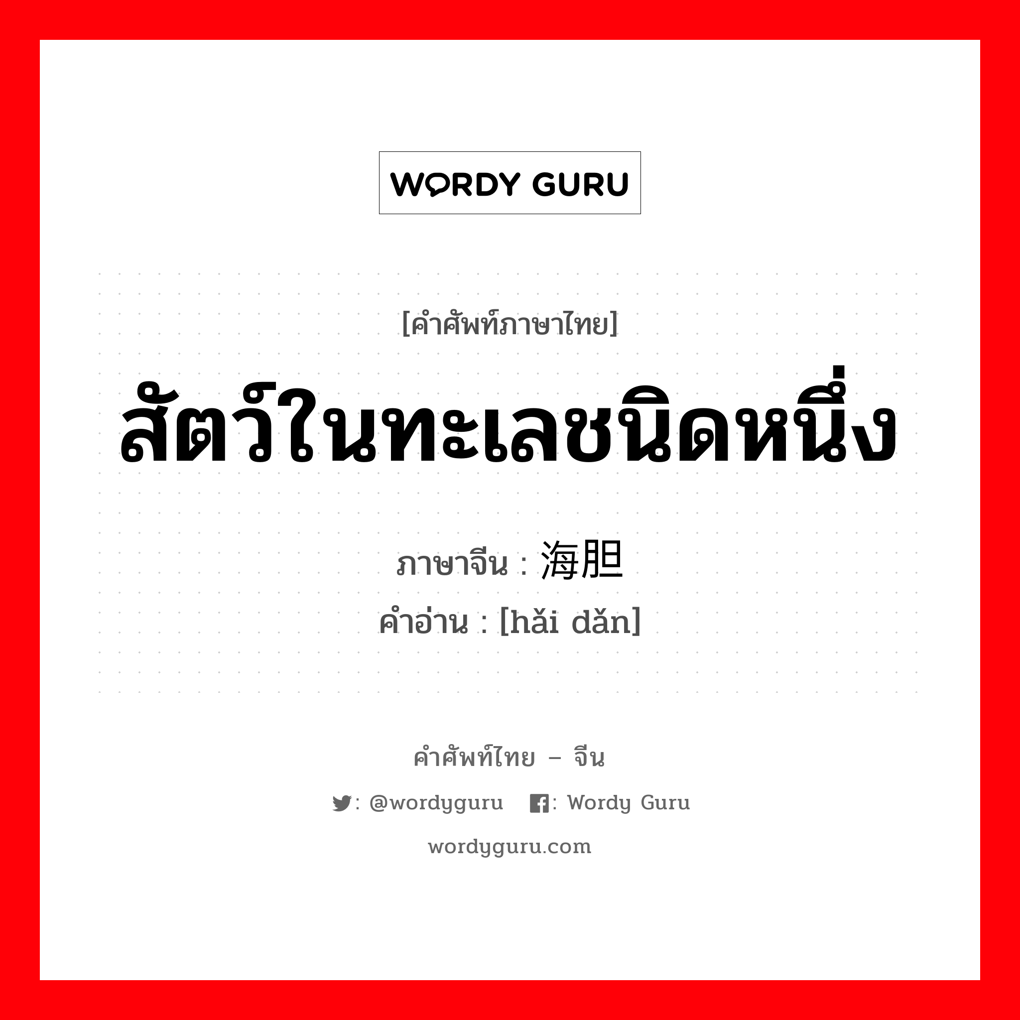 สัตว์ในทะเลชนิดหนึ่ง ภาษาจีนคืออะไร, คำศัพท์ภาษาไทย - จีน สัตว์ในทะเลชนิดหนึ่ง ภาษาจีน 海胆 คำอ่าน [hǎi dǎn]