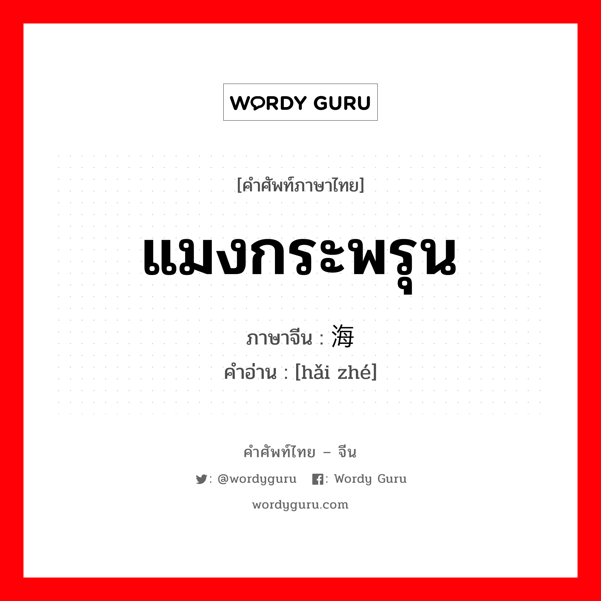 แมงกระพรุน ภาษาจีนคืออะไร, คำศัพท์ภาษาไทย - จีน แมงกระพรุน ภาษาจีน 海蛰 คำอ่าน [hǎi zhé]