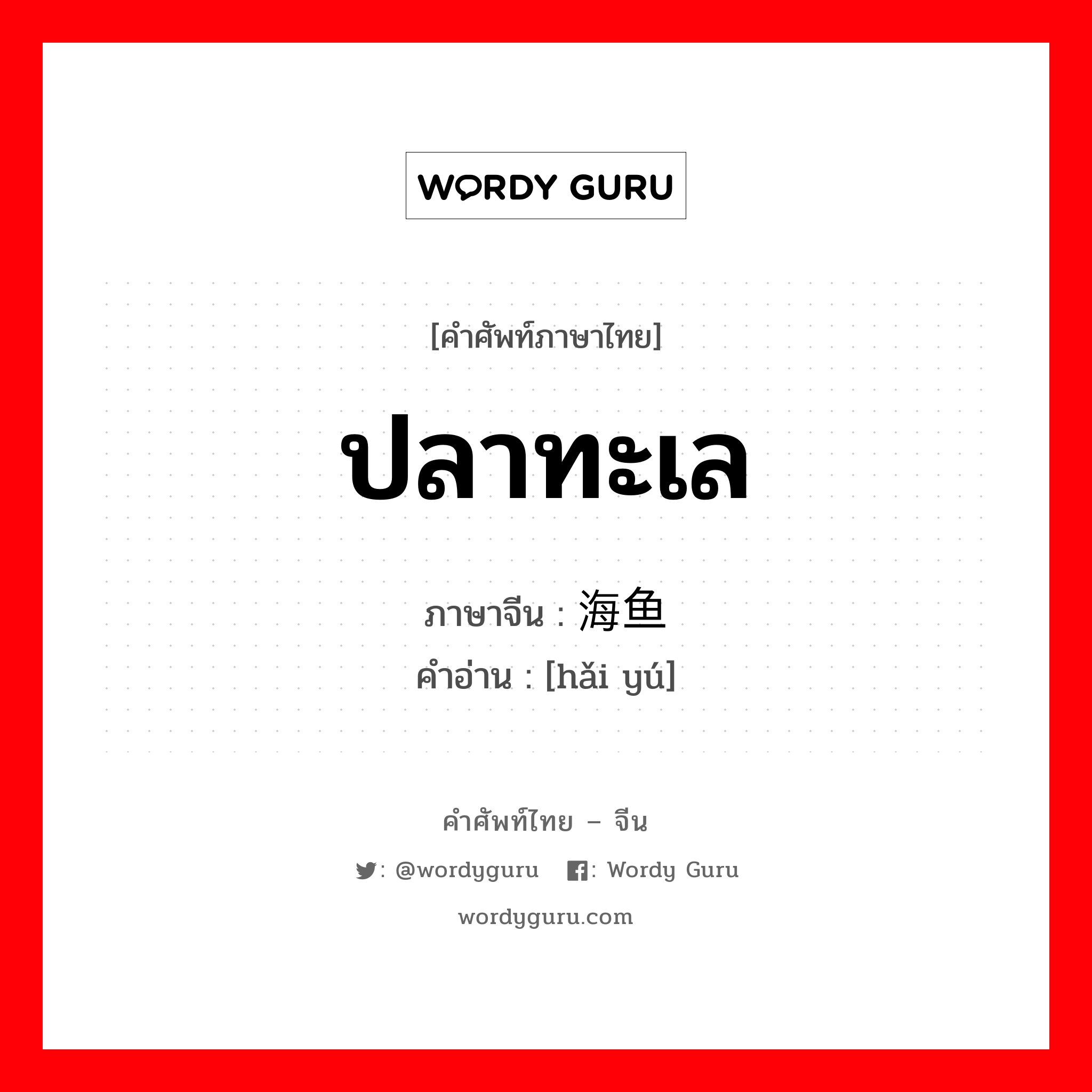 ปลาทะเล ภาษาจีนคืออะไร, คำศัพท์ภาษาไทย - จีน ปลาทะเล ภาษาจีน 海鱼 คำอ่าน [hǎi yú]