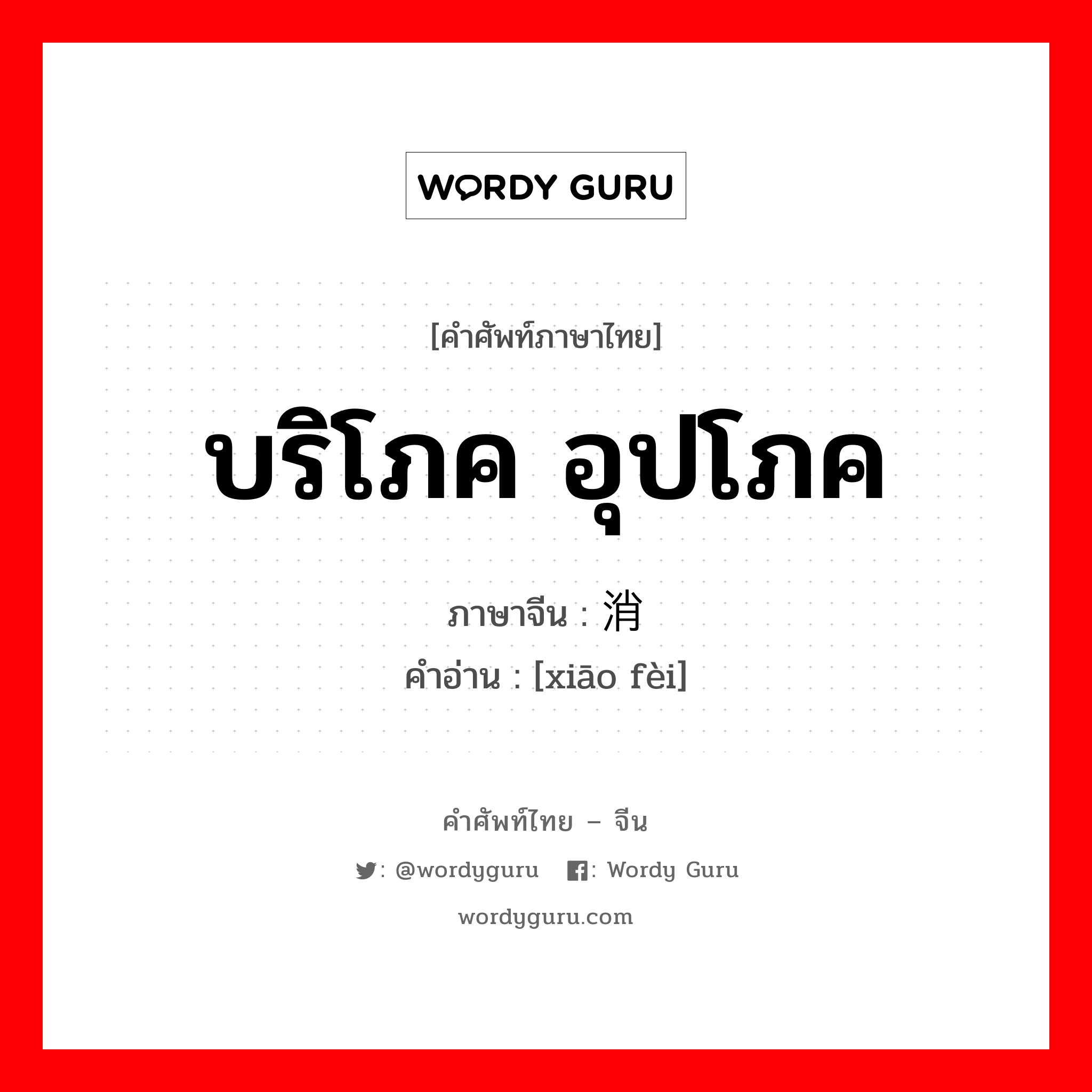 บริโภค อุปโภค ภาษาจีนคืออะไร, คำศัพท์ภาษาไทย - จีน บริโภค อุปโภค ภาษาจีน 消费 คำอ่าน [xiāo fèi]