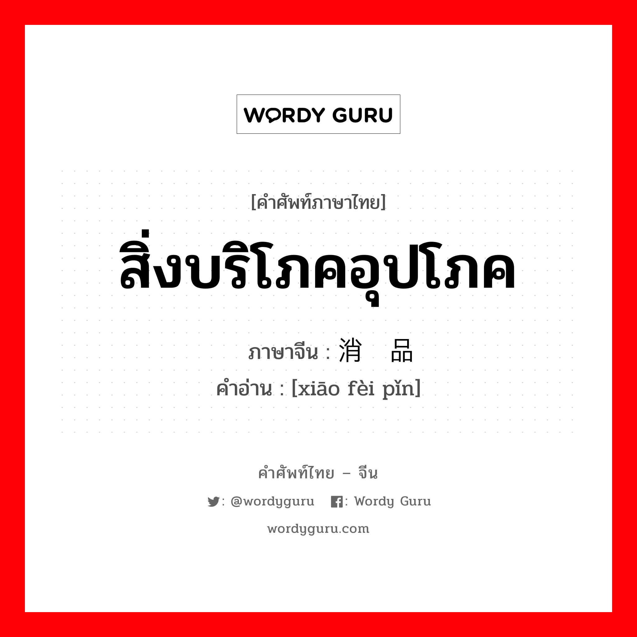 สิ่งบริโภคอุปโภค ภาษาจีนคืออะไร, คำศัพท์ภาษาไทย - จีน สิ่งบริโภคอุปโภค ภาษาจีน 消费品 คำอ่าน [xiāo fèi pǐn]