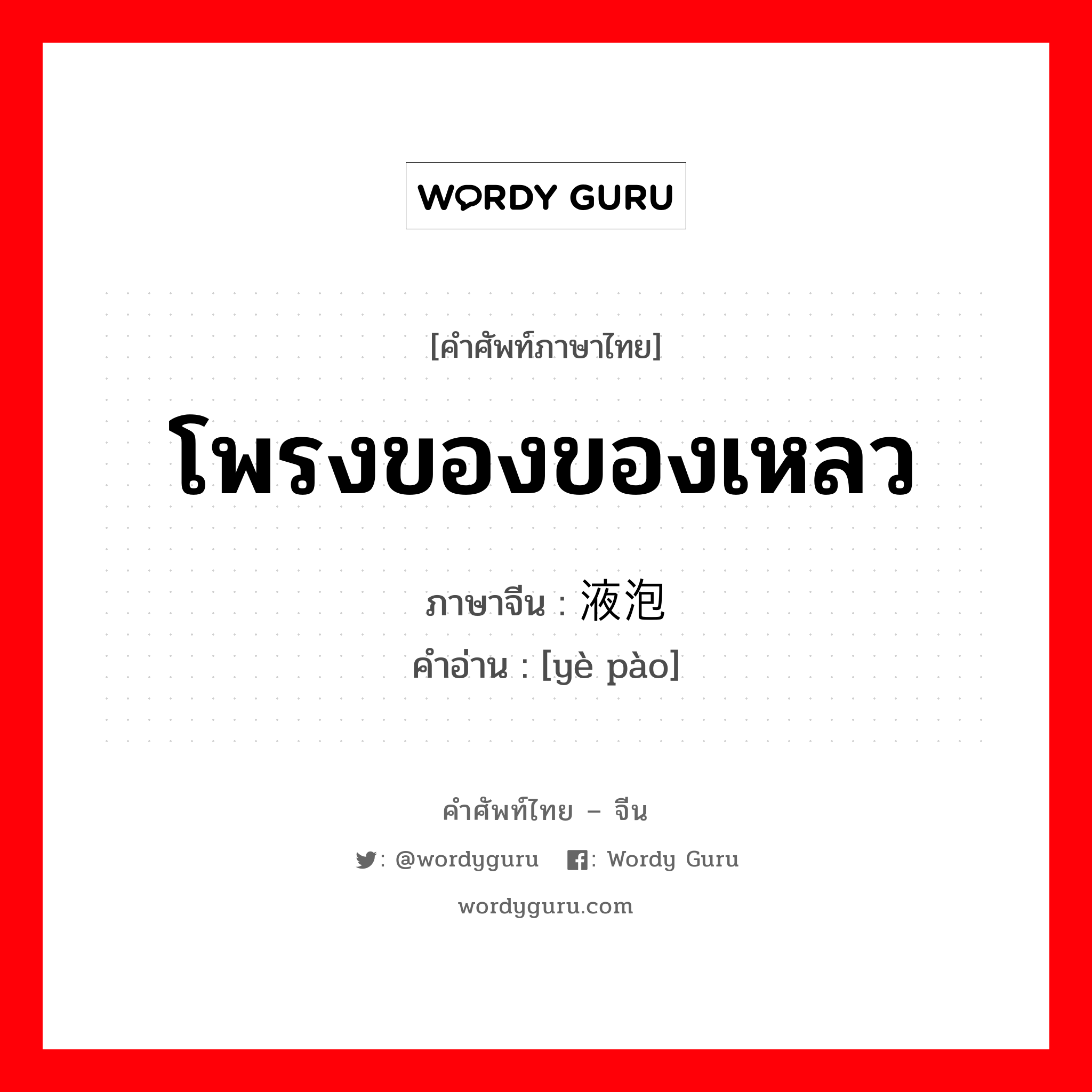 โพรงของของเหลว ภาษาจีนคืออะไร, คำศัพท์ภาษาไทย - จีน โพรงของของเหลว ภาษาจีน 液泡 คำอ่าน [yè pào]