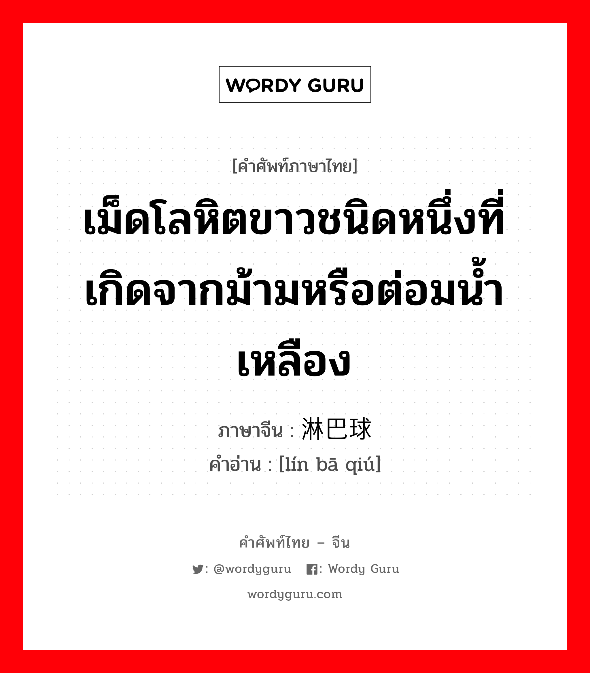 เม็ดโลหิตขาวชนิดหนึ่งที่เกิดจากม้ามหรือต่อมน้ำเหลือง ภาษาจีนคืออะไร, คำศัพท์ภาษาไทย - จีน เม็ดโลหิตขาวชนิดหนึ่งที่เกิดจากม้ามหรือต่อมน้ำเหลือง ภาษาจีน 淋巴球 คำอ่าน [lín bā qiú]