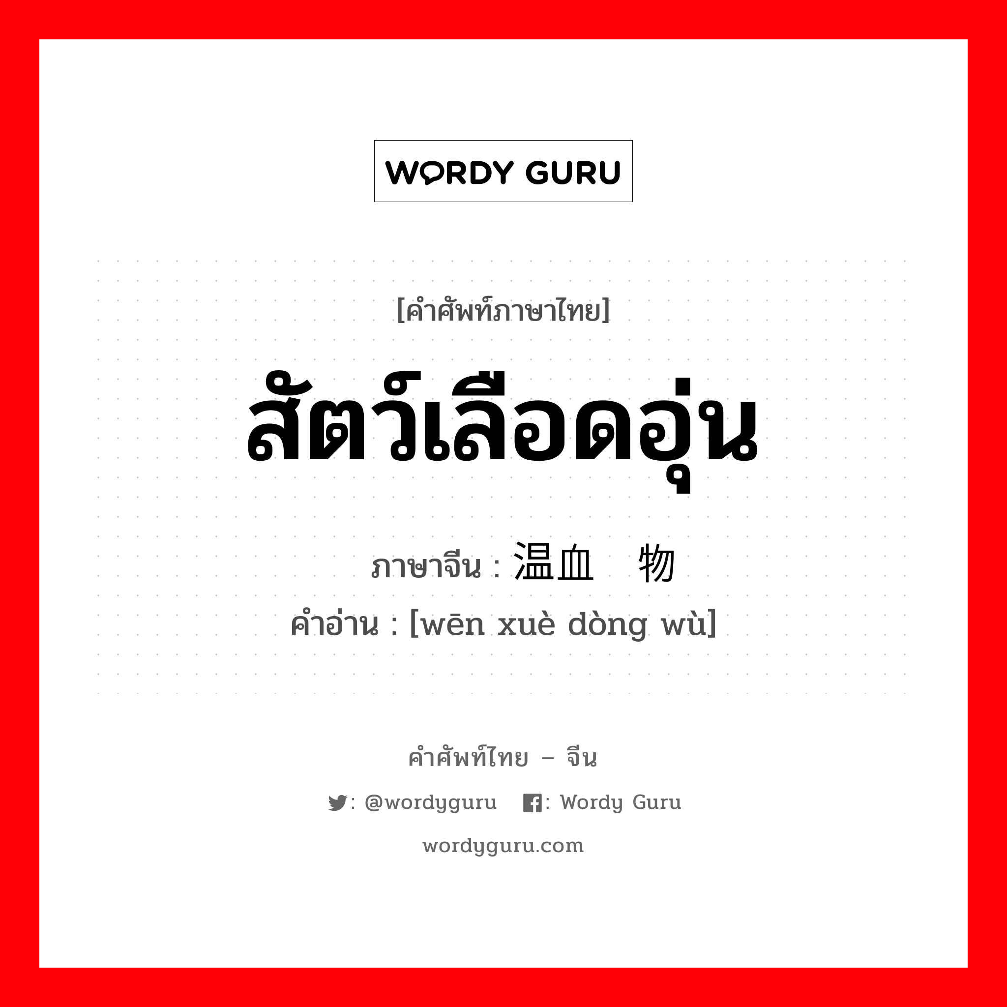 สัตว์เลือดอุ่น ภาษาจีนคืออะไร, คำศัพท์ภาษาไทย - จีน สัตว์เลือดอุ่น ภาษาจีน 温血动物 คำอ่าน [wēn xuè dòng wù]