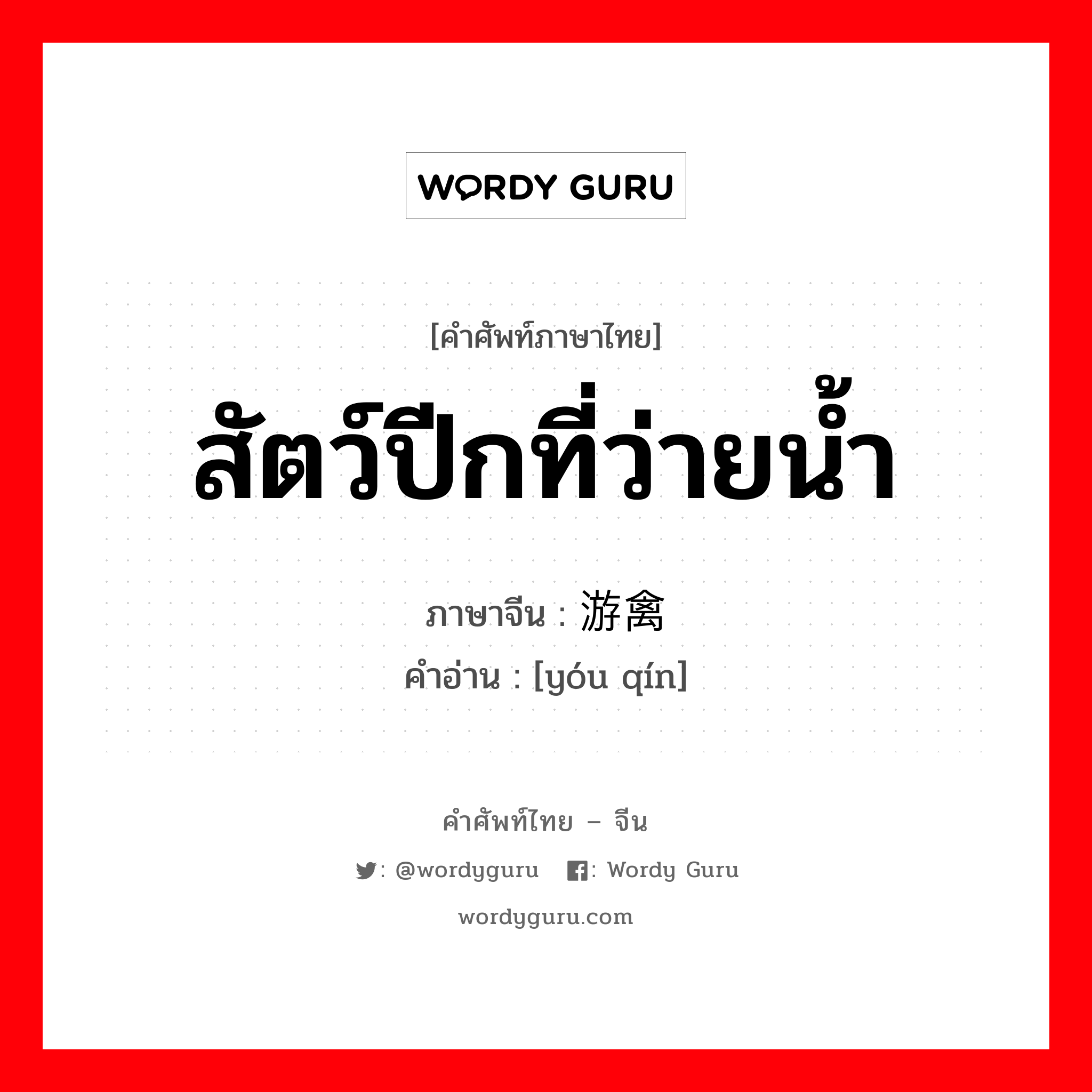 สัตว์ปีกที่ว่ายน้ำ ภาษาจีนคืออะไร, คำศัพท์ภาษาไทย - จีน สัตว์ปีกที่ว่ายน้ำ ภาษาจีน 游禽 คำอ่าน [yóu qín]