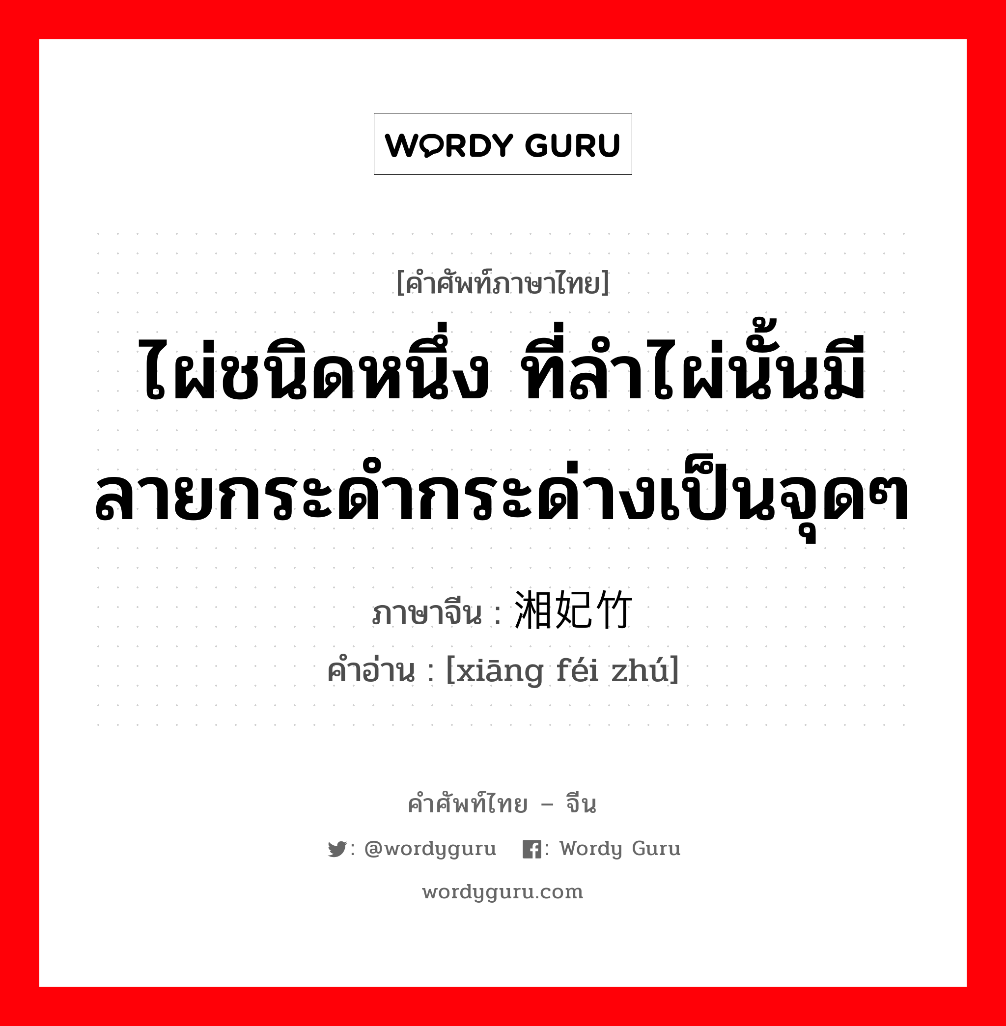 ไผ่ชนิดหนึ่ง ที่ลำไผ่นั้นมีลายกระดำกระด่างเป็นจุดๆ ภาษาจีนคืออะไร, คำศัพท์ภาษาไทย - จีน ไผ่ชนิดหนึ่ง ที่ลำไผ่นั้นมีลายกระดำกระด่างเป็นจุดๆ ภาษาจีน 湘妃竹 คำอ่าน [xiāng féi zhú]