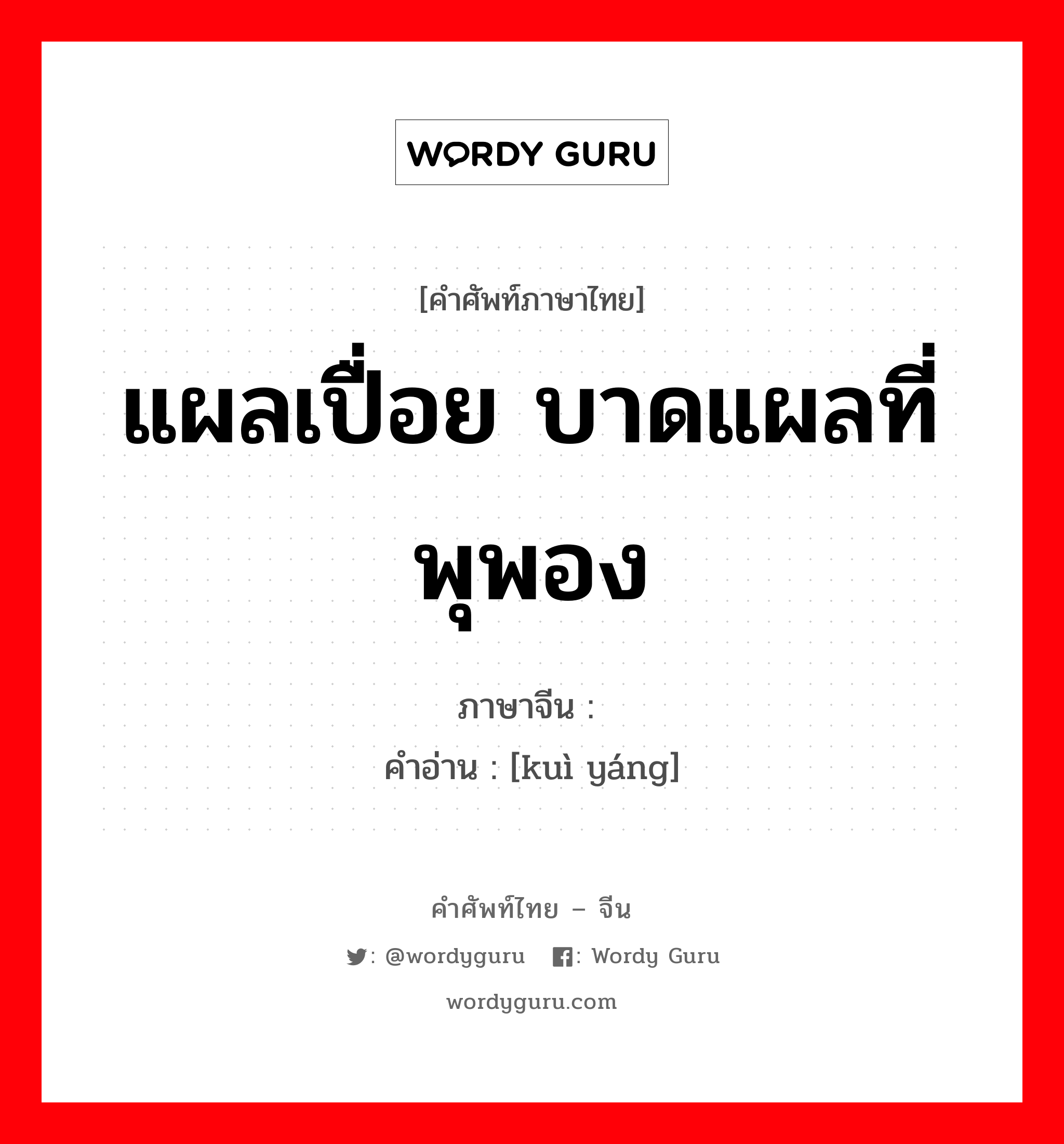 แผลเปื่อย บาดแผลที่พุพอง ภาษาจีนคืออะไร, คำศัพท์ภาษาไทย - จีน แผลเปื่อย บาดแผลที่พุพอง ภาษาจีน 溃疡 คำอ่าน [kuì yáng]