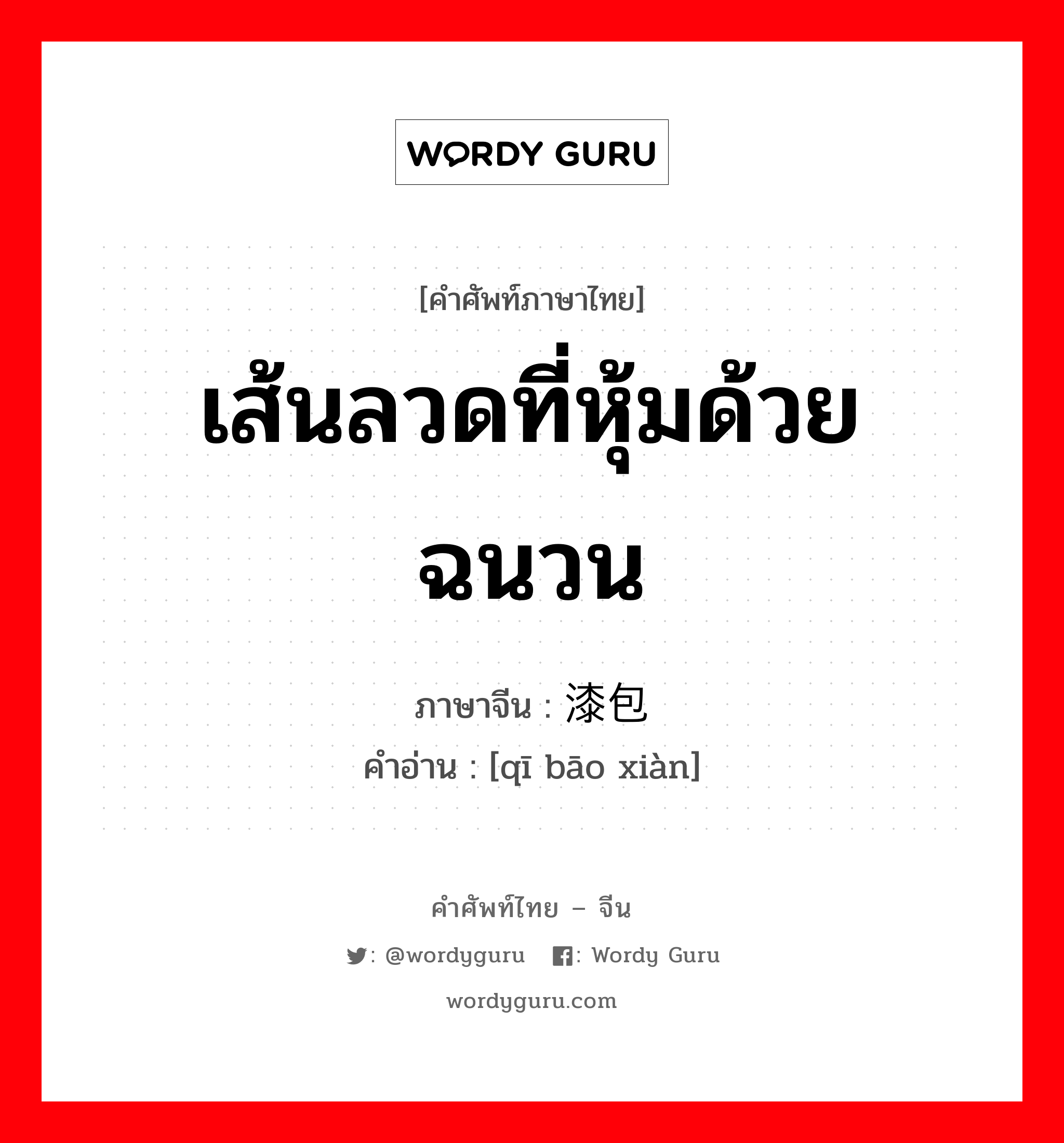 เส้นลวดที่หุ้มด้วยฉนวน ภาษาจีนคืออะไร, คำศัพท์ภาษาไทย - จีน เส้นลวดที่หุ้มด้วยฉนวน ภาษาจีน 漆包线 คำอ่าน [qī bāo xiàn]