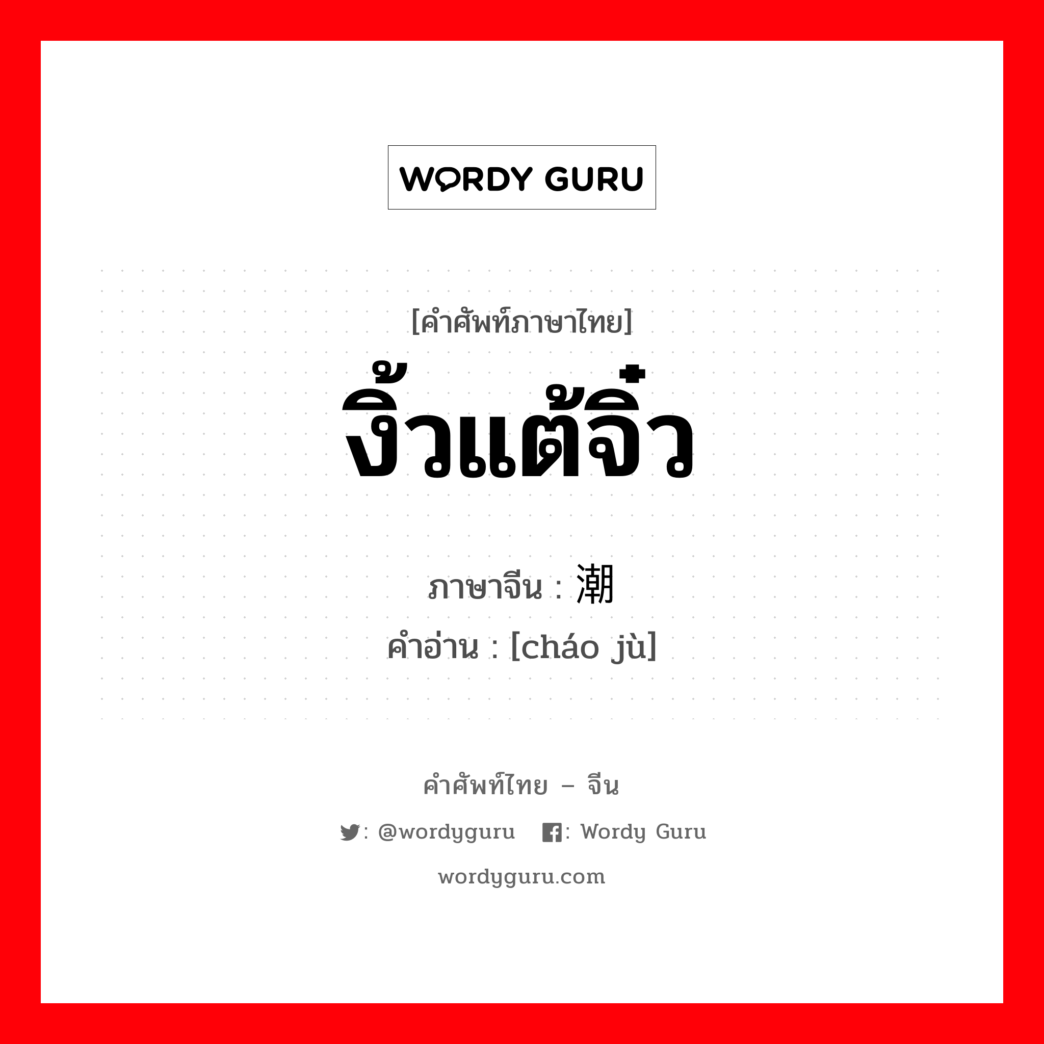 งิ้วแต้จิ๋ว ภาษาจีนคืออะไร, คำศัพท์ภาษาไทย - จีน งิ้วแต้จิ๋ว ภาษาจีน 潮剧 คำอ่าน [cháo jù]