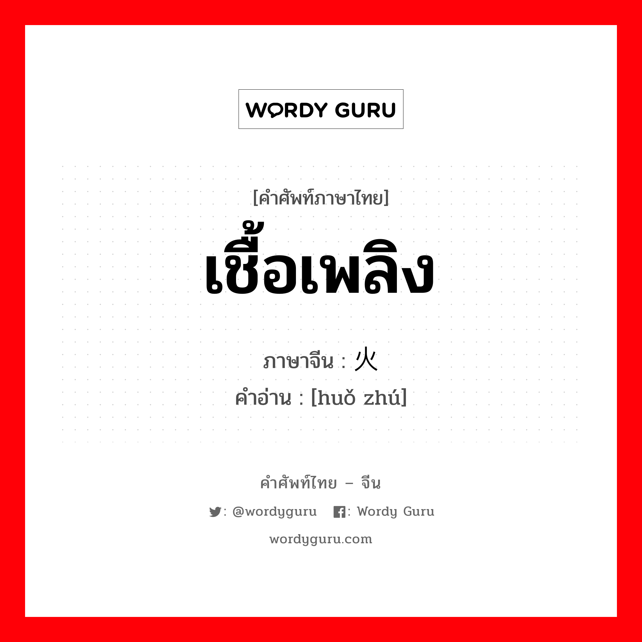 เชื้อเพลิง ภาษาจีนคืออะไร, คำศัพท์ภาษาไทย - จีน เชื้อเพลิง ภาษาจีน 火烛 คำอ่าน [huǒ zhú]