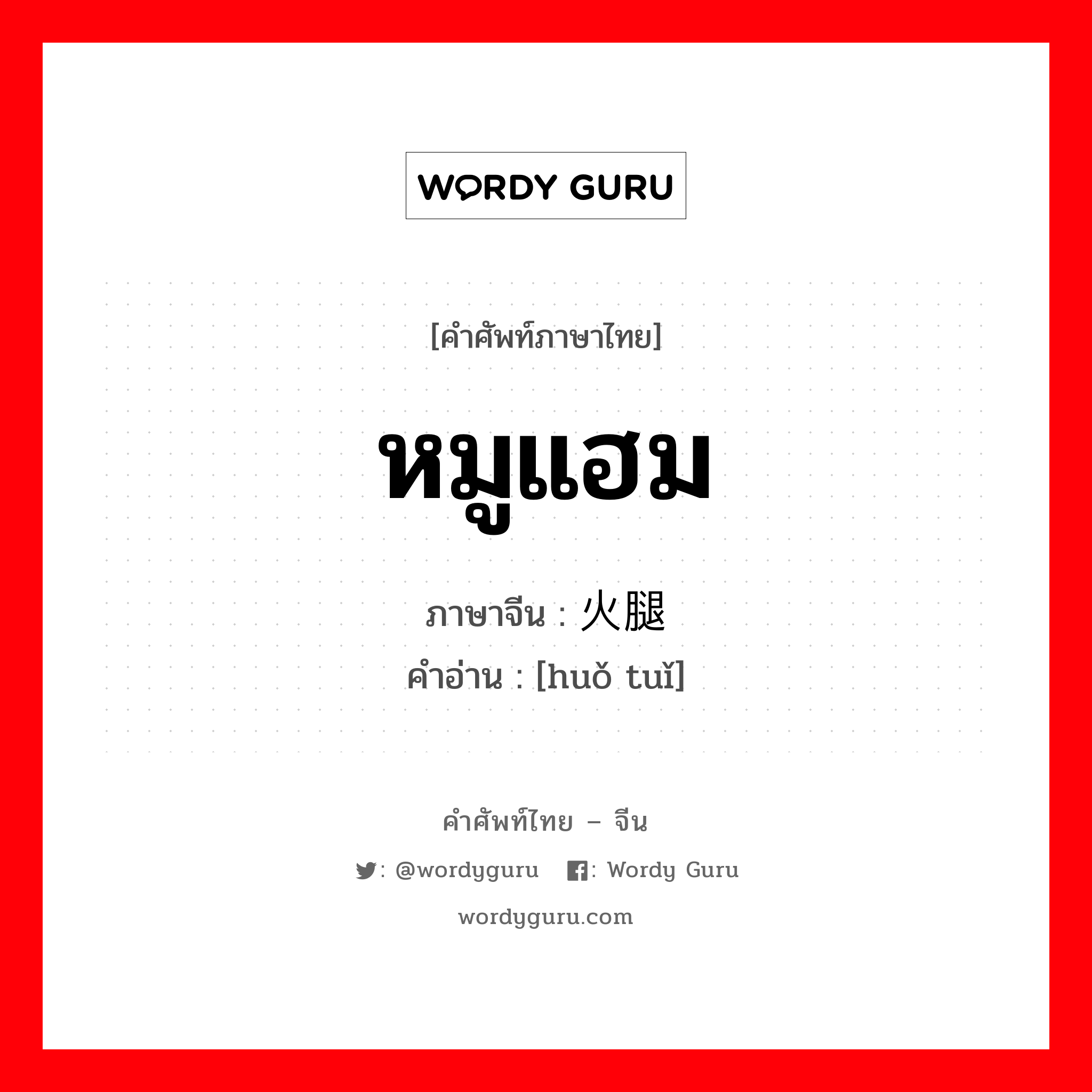 หมูแฮม ภาษาจีนคืออะไร, คำศัพท์ภาษาไทย - จีน หมูแฮม ภาษาจีน 火腿 คำอ่าน [huǒ tuǐ]