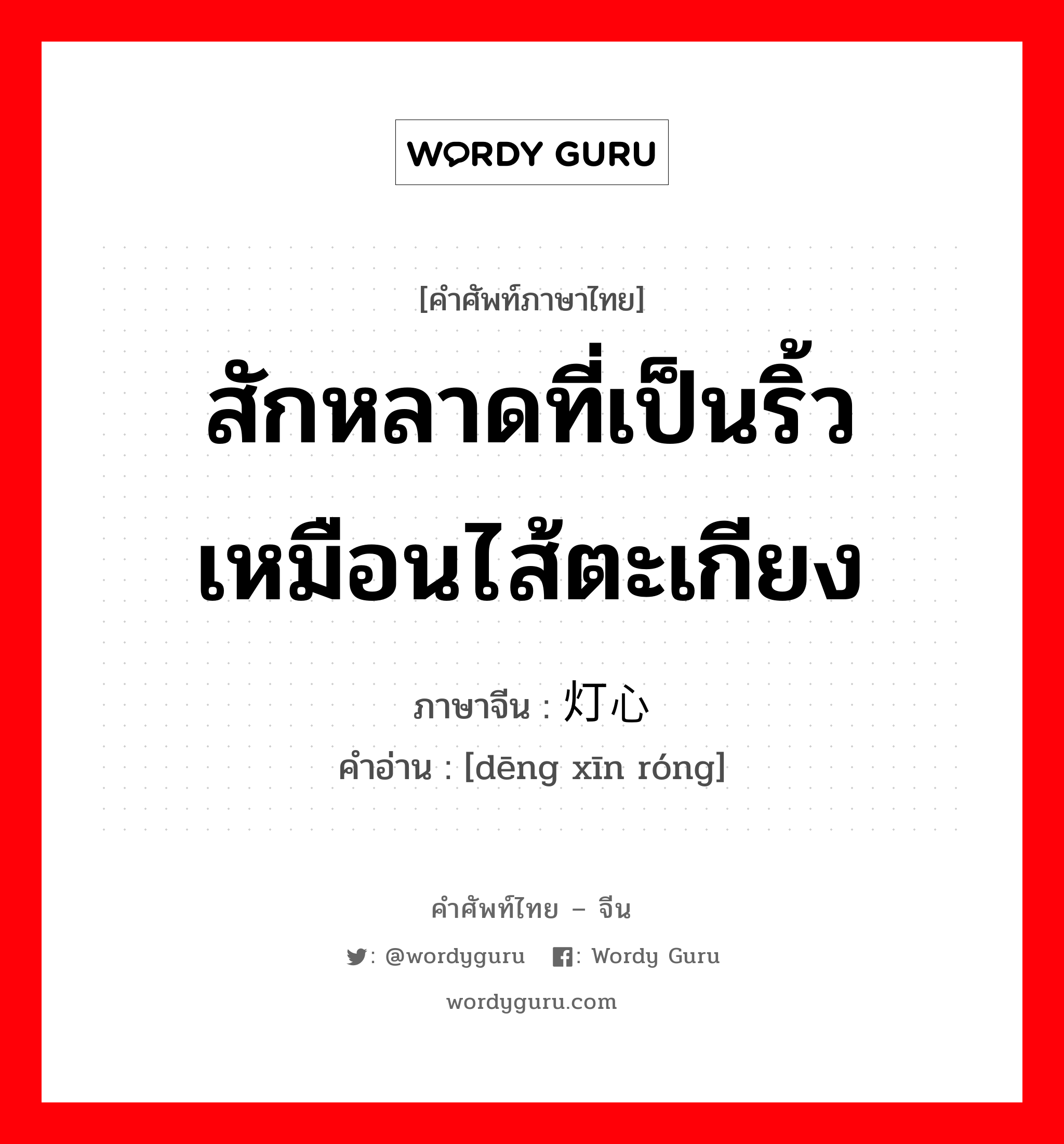 สักหลาดที่เป็นริ้วเหมือนไส้ตะเกียง ภาษาจีนคืออะไร, คำศัพท์ภาษาไทย - จีน สักหลาดที่เป็นริ้วเหมือนไส้ตะเกียง ภาษาจีน 灯心绒 คำอ่าน [dēng xīn róng]