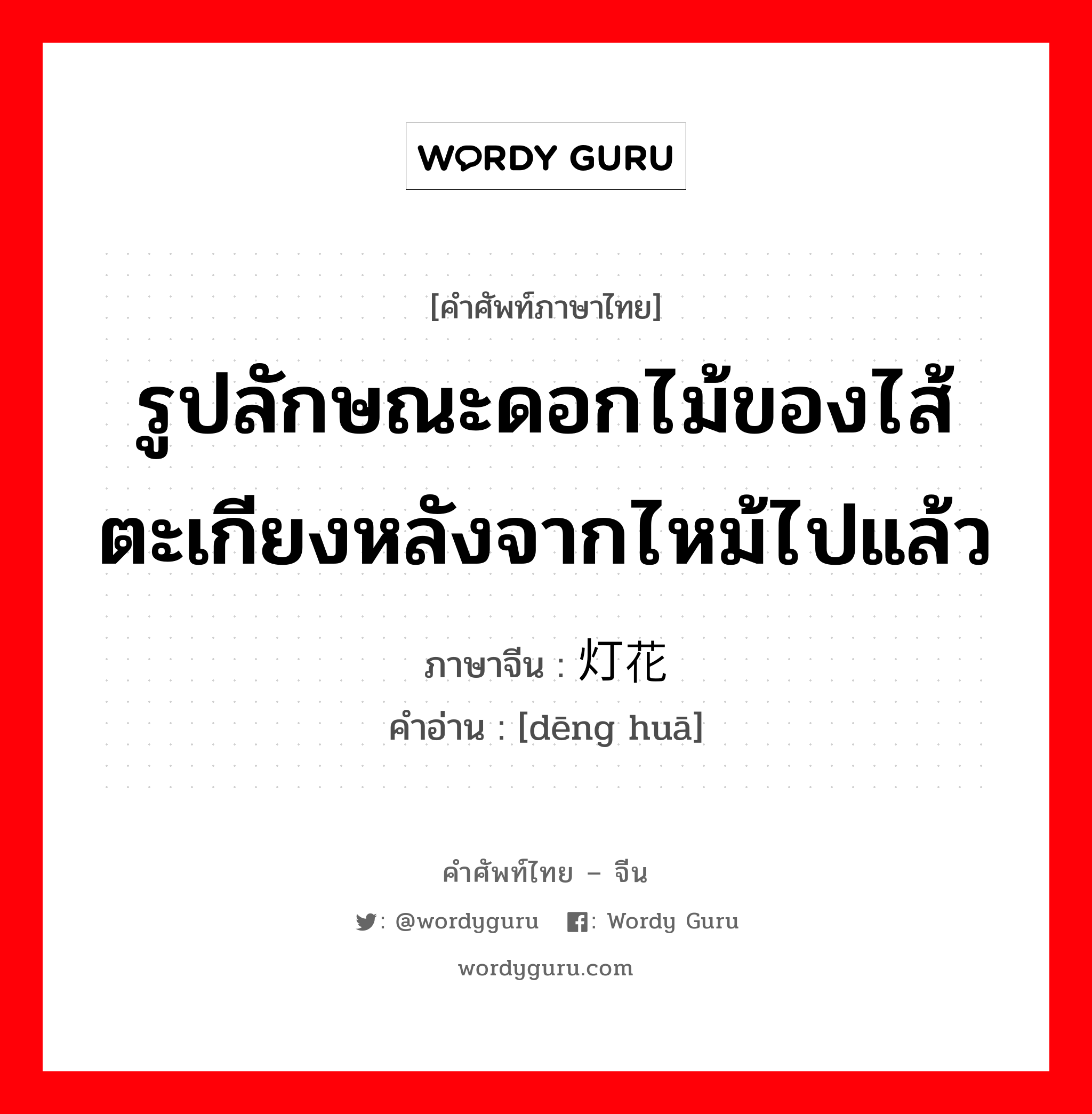 รูปลักษณะดอกไม้ของไส้ตะเกียงหลังจากไหม้ไปแล้ว ภาษาจีนคืออะไร, คำศัพท์ภาษาไทย - จีน รูปลักษณะดอกไม้ของไส้ตะเกียงหลังจากไหม้ไปแล้ว ภาษาจีน 灯花 คำอ่าน [dēng huā]