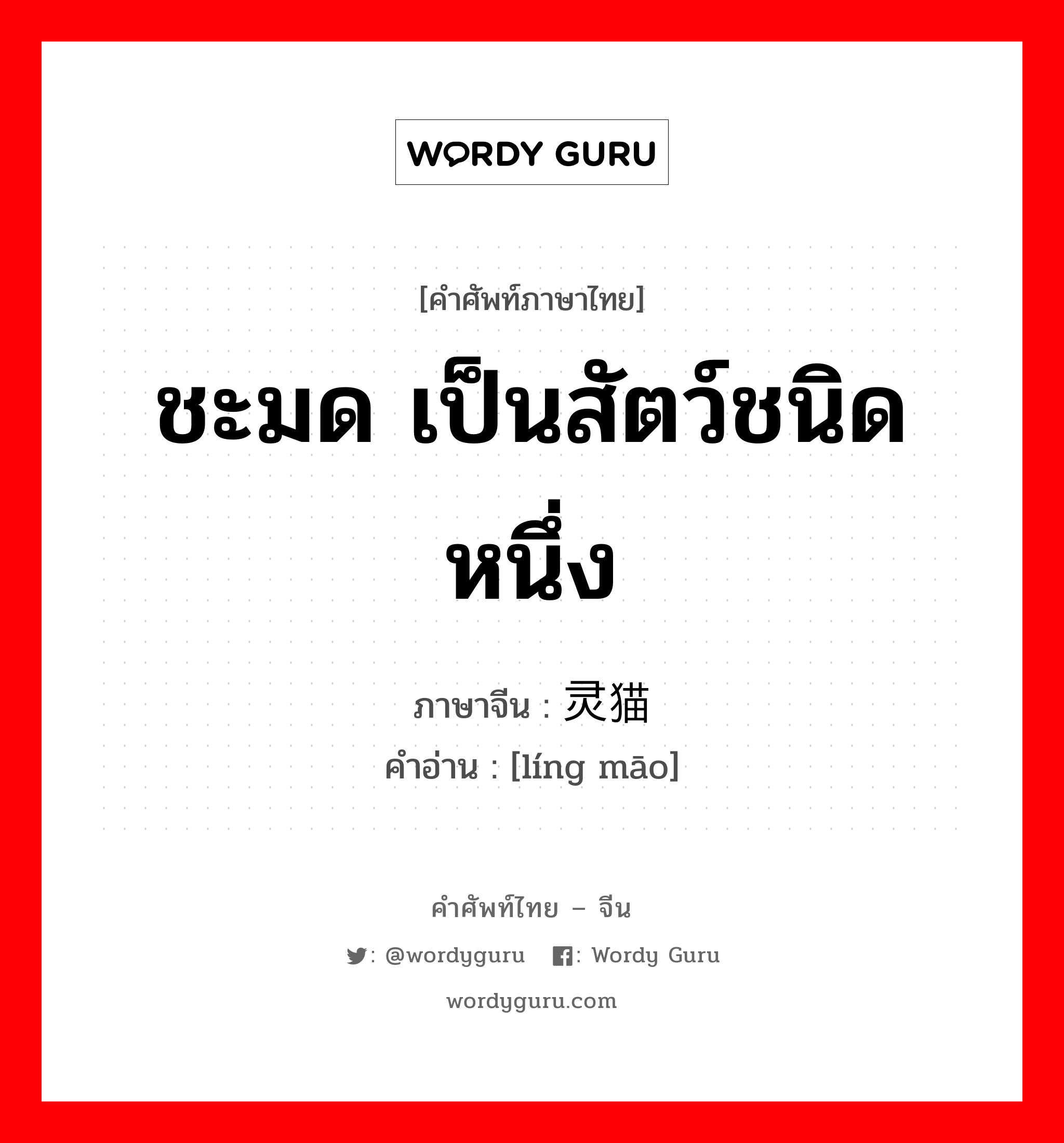 ชะมด เป็นสัตว์ชนิดหนึ่ง ภาษาจีนคืออะไร, คำศัพท์ภาษาไทย - จีน ชะมด เป็นสัตว์ชนิดหนึ่ง ภาษาจีน 灵猫 คำอ่าน [líng māo]